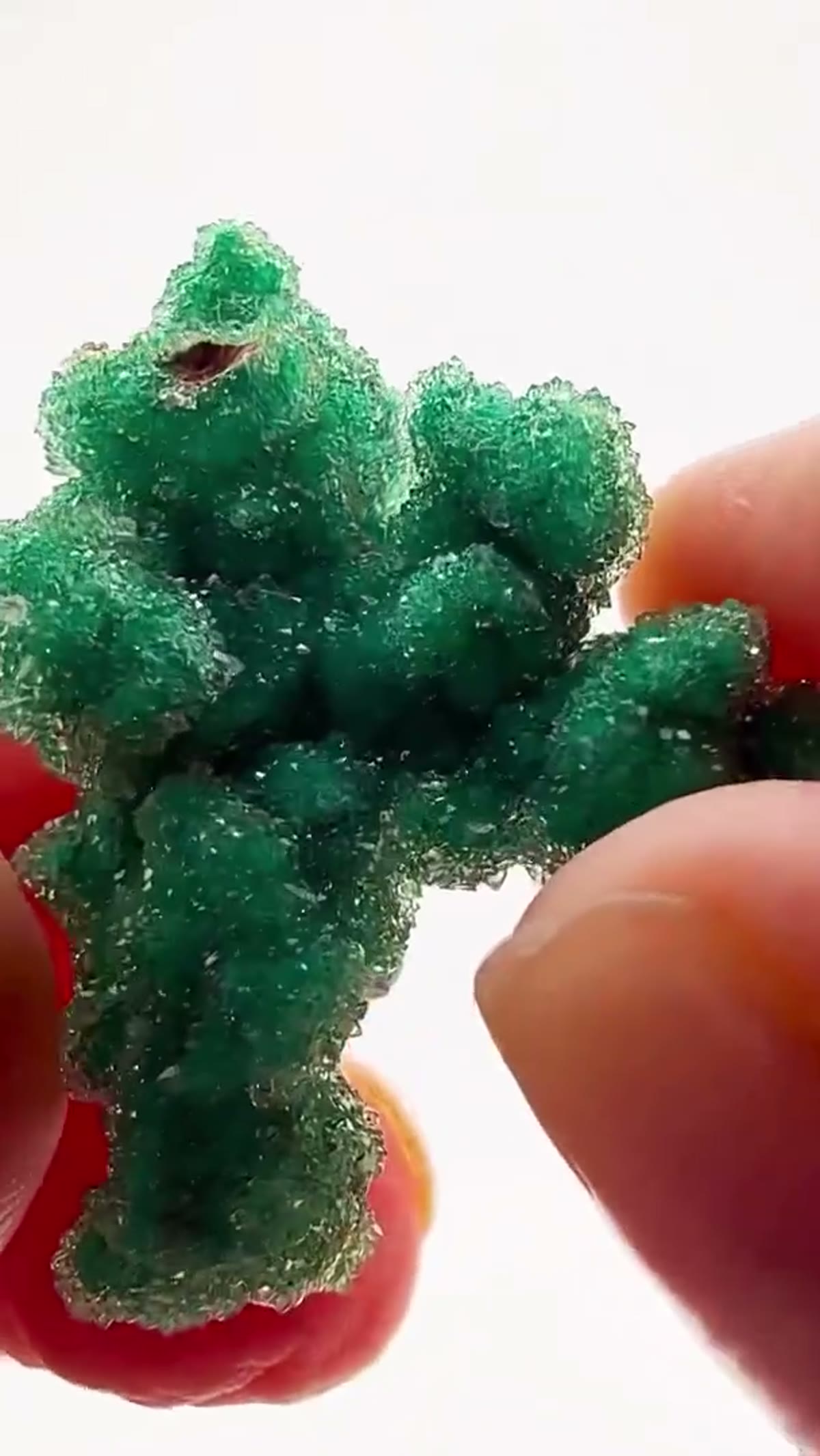 Malachite Specimen: Congo Sparkler - view 4