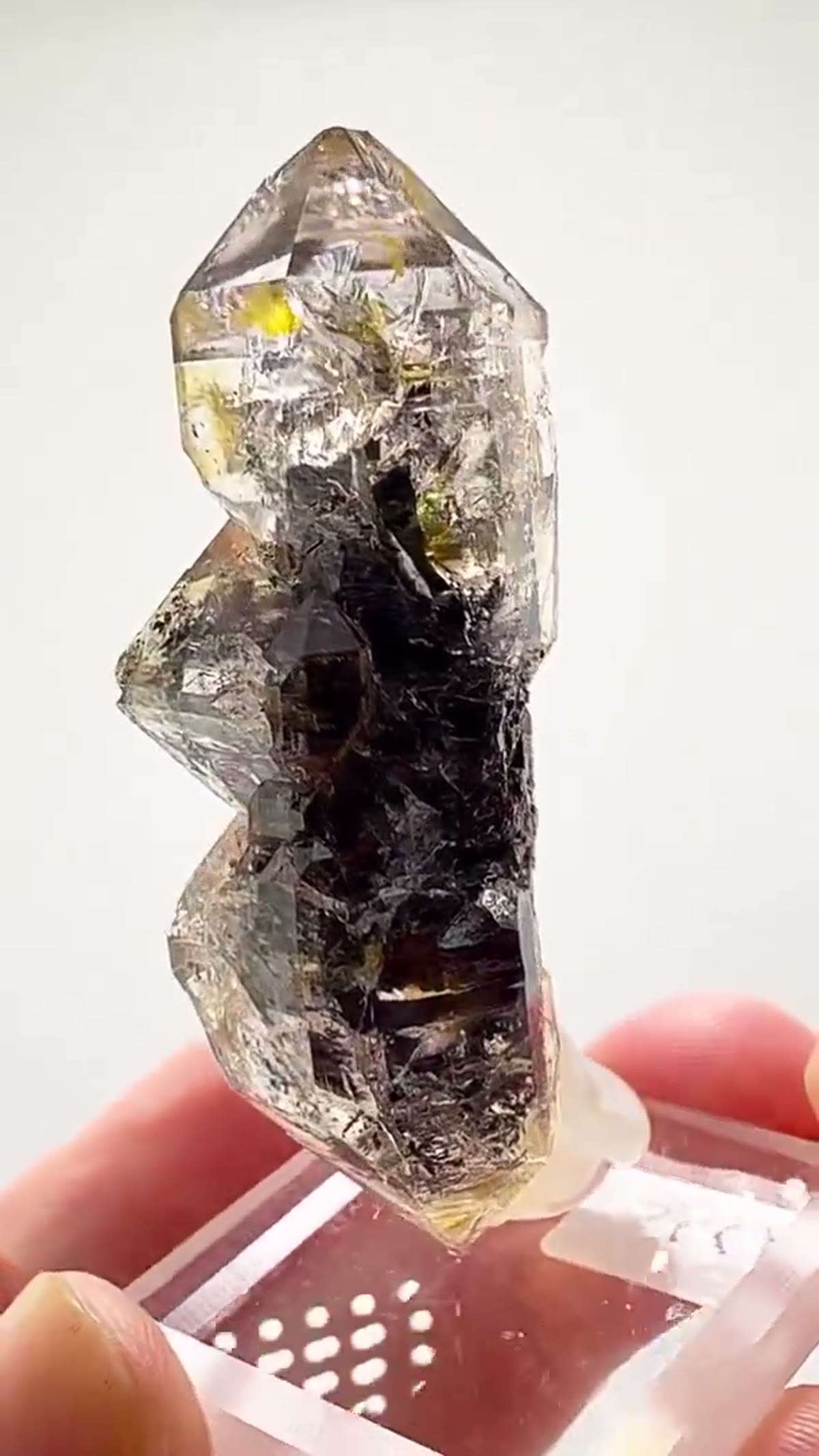 Quartz Specimen: Herkimer Black Scepter Magic - view 2