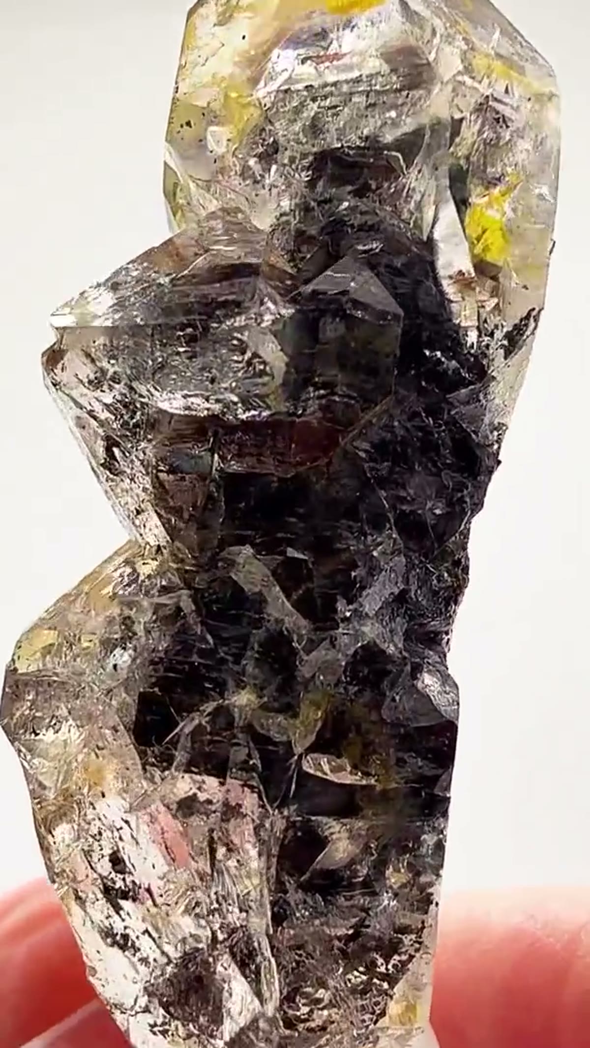 Quartz Specimen: Herkimer Black Scepter Magic - view 4