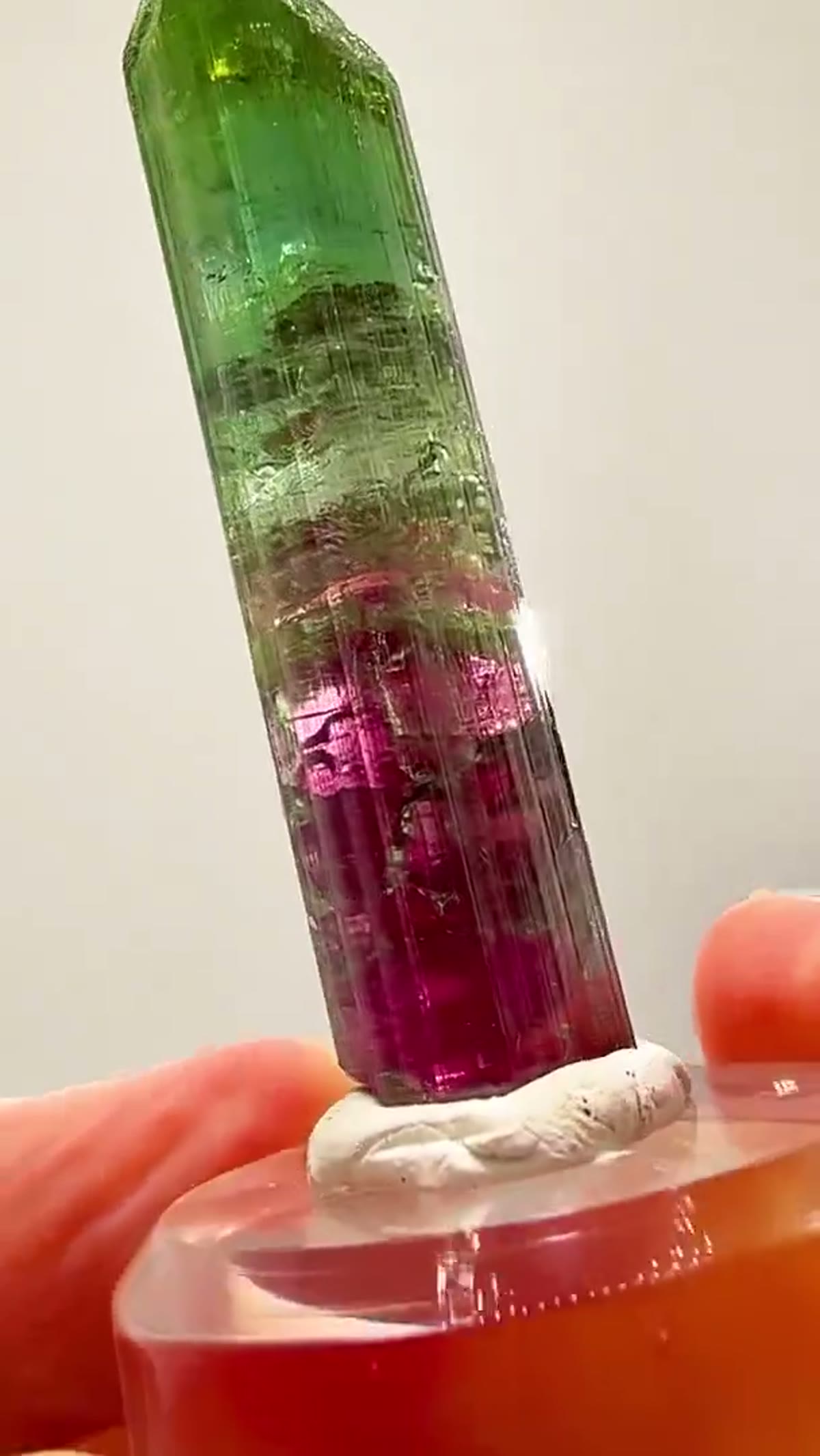 Elbaite Tourmaline Specimen from Aricanga Mine, Brazil, 14.32 g: 14.32 grams Chameleon Pocket Magic - view 2