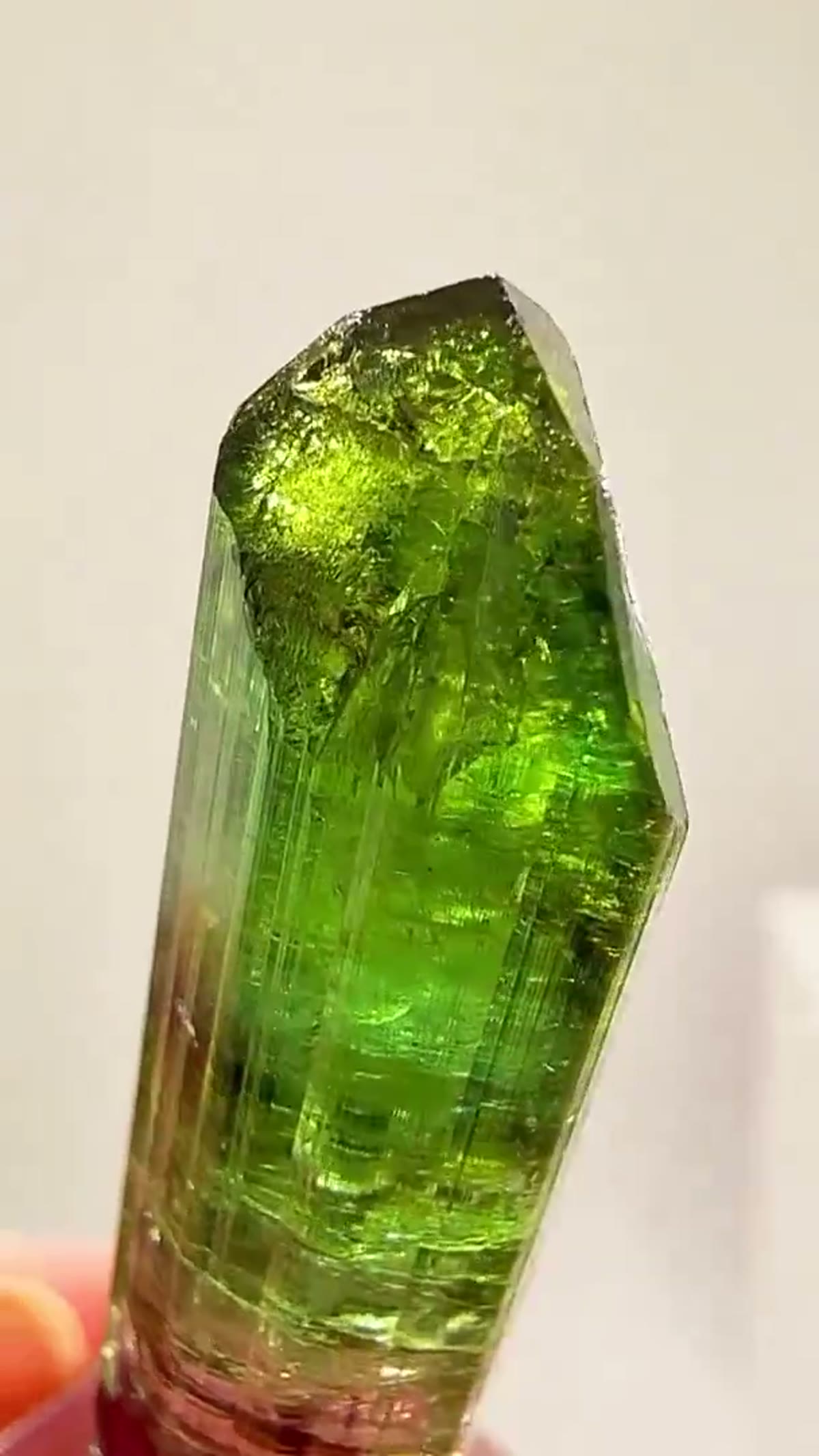 Elbaite Tourmaline Specimen from Aricanga Mine, Brazil, 14.32 g: 14.32 grams Chameleon Pocket Magic - view 3