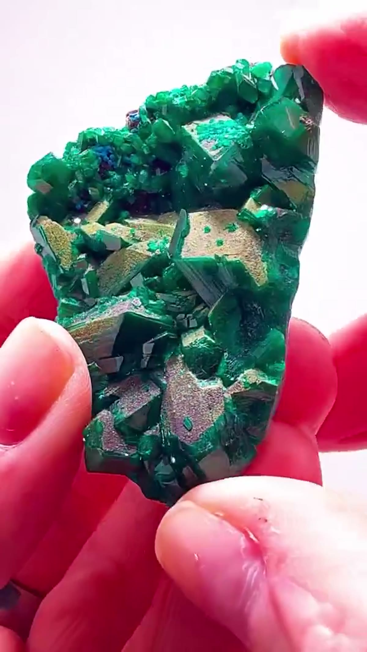 Dioptase Specimen, 42.56 g: Congo Dioptase at Another Level - view 2
