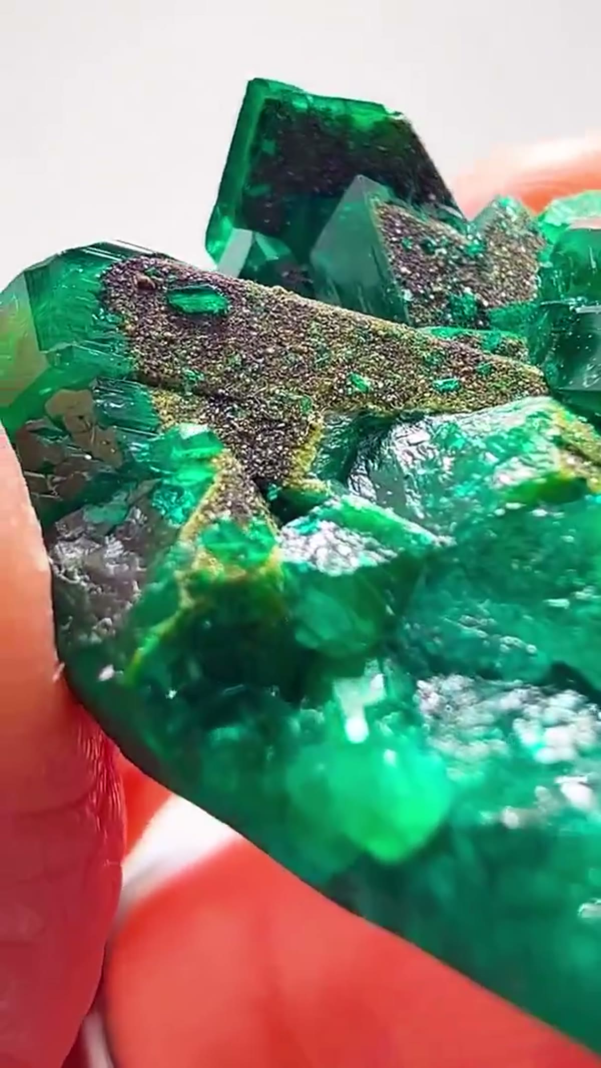 Dioptase Specimen, 42.56 g: Congo Dioptase at Another Level - view 3