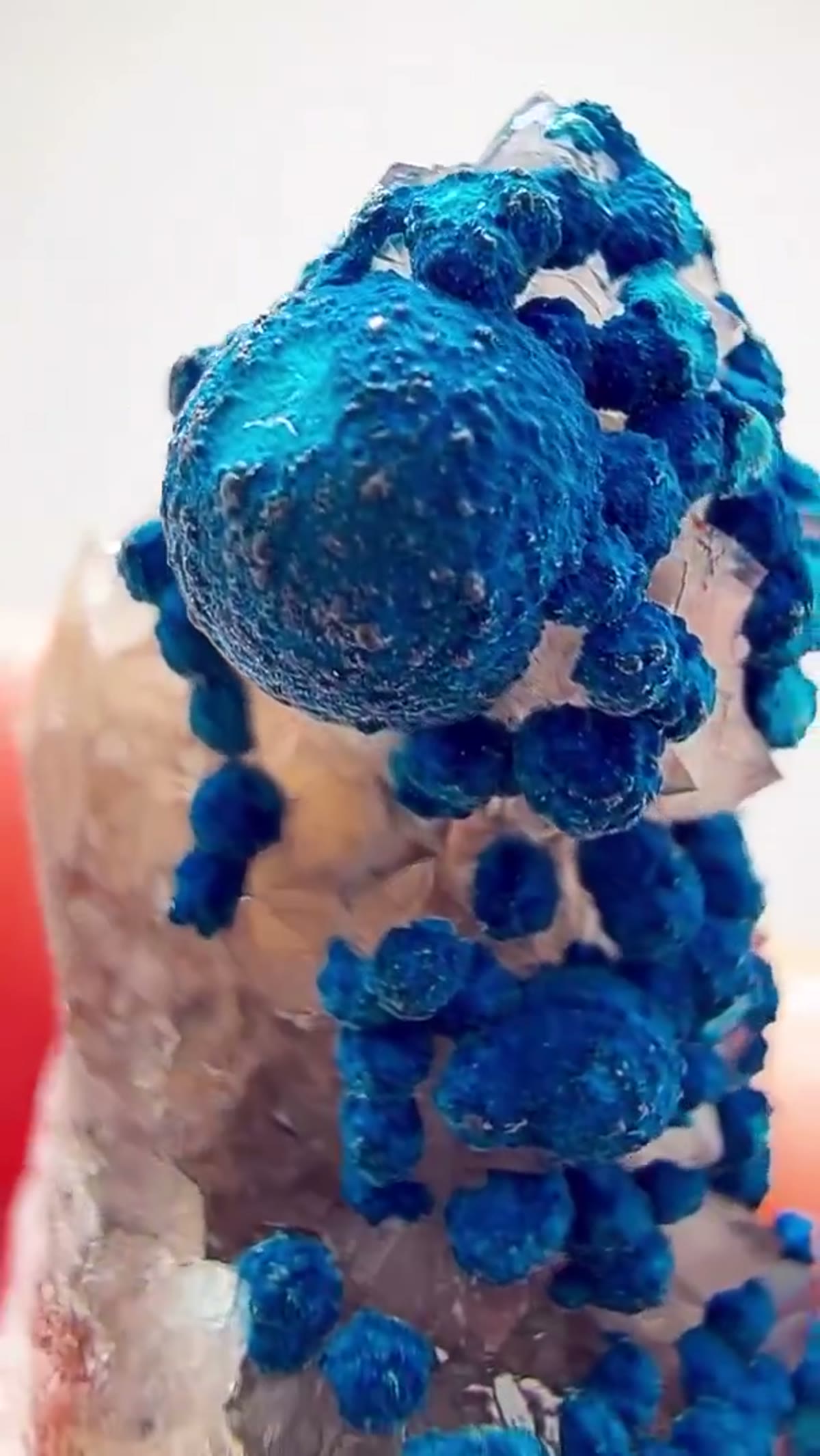 Quartz Specimen, 17.75 g: Congo Blue at Another Level - view 3