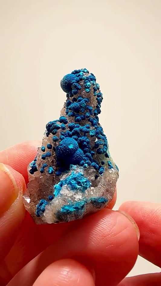CONGO BLUE AT ANOTHER LEVEL