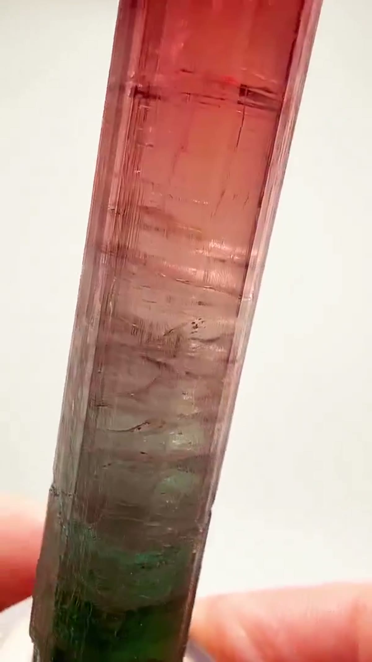 Elbaite Tourmaline Specimen from Cruzeiro Mine, Brazil, 26.52 g - view 2