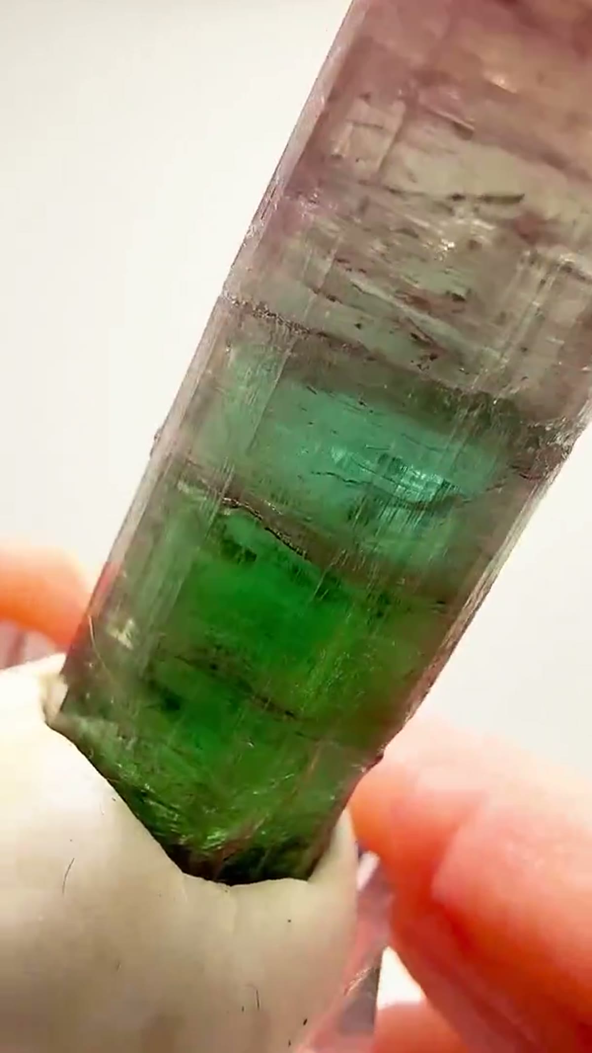 Elbaite Tourmaline Specimen from Cruzeiro Mine, Brazil, 26.52 g - view 3