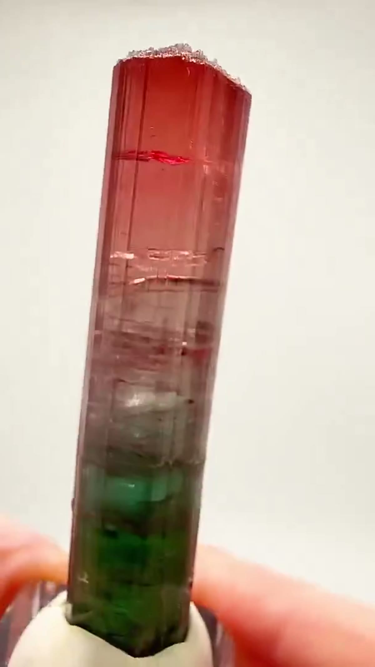Elbaite Tourmaline Specimen from Cruzeiro Mine, Brazil, 26.52 g - view 4
