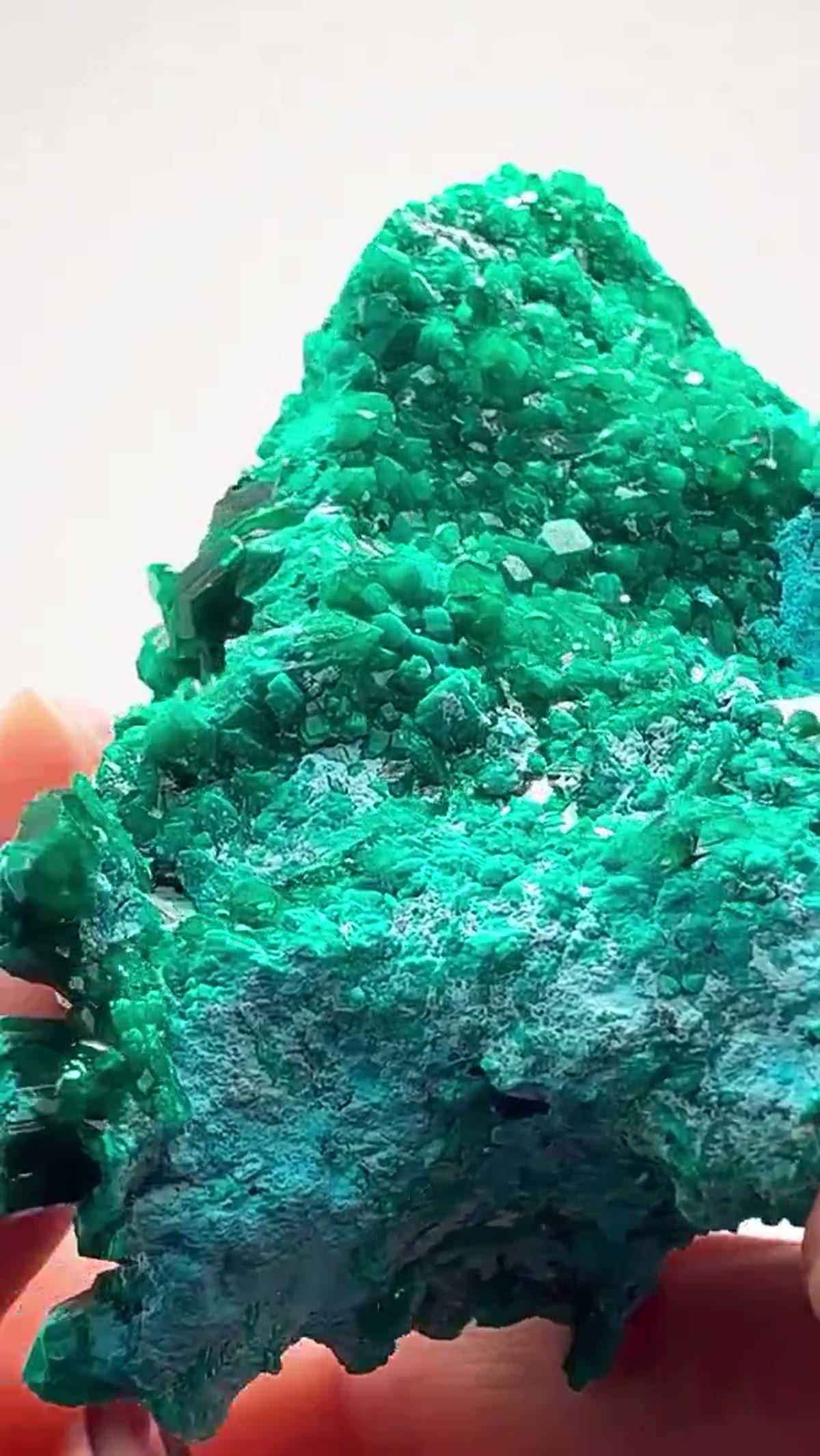 Dioptase Specimen: Double-Sided Congo Magic - view 3