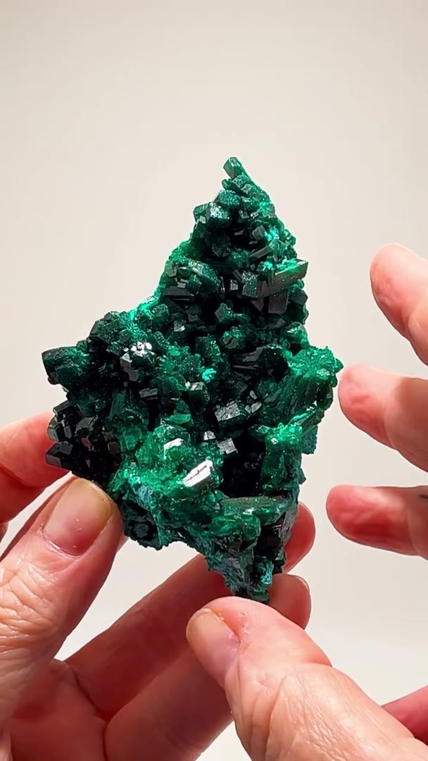DOUBLE-SIDED CONGO MAGIC