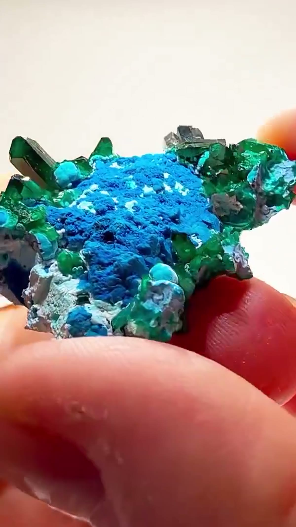 Dioptase Specimen: Congo Color Overload - view 2