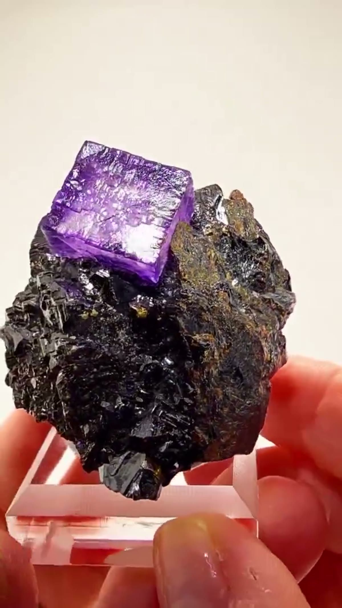 Fluorite Specimen from Elmwood Mine, Tennessee: Elmwood Perfection - view 2