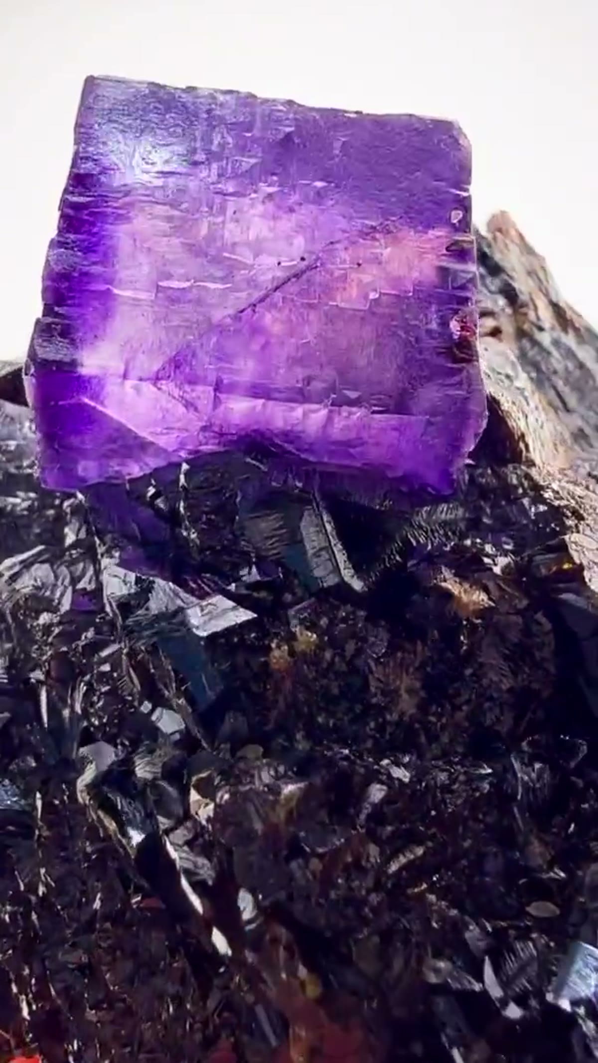 Fluorite Specimen from Elmwood Mine, Tennessee: Elmwood Perfection - view 3