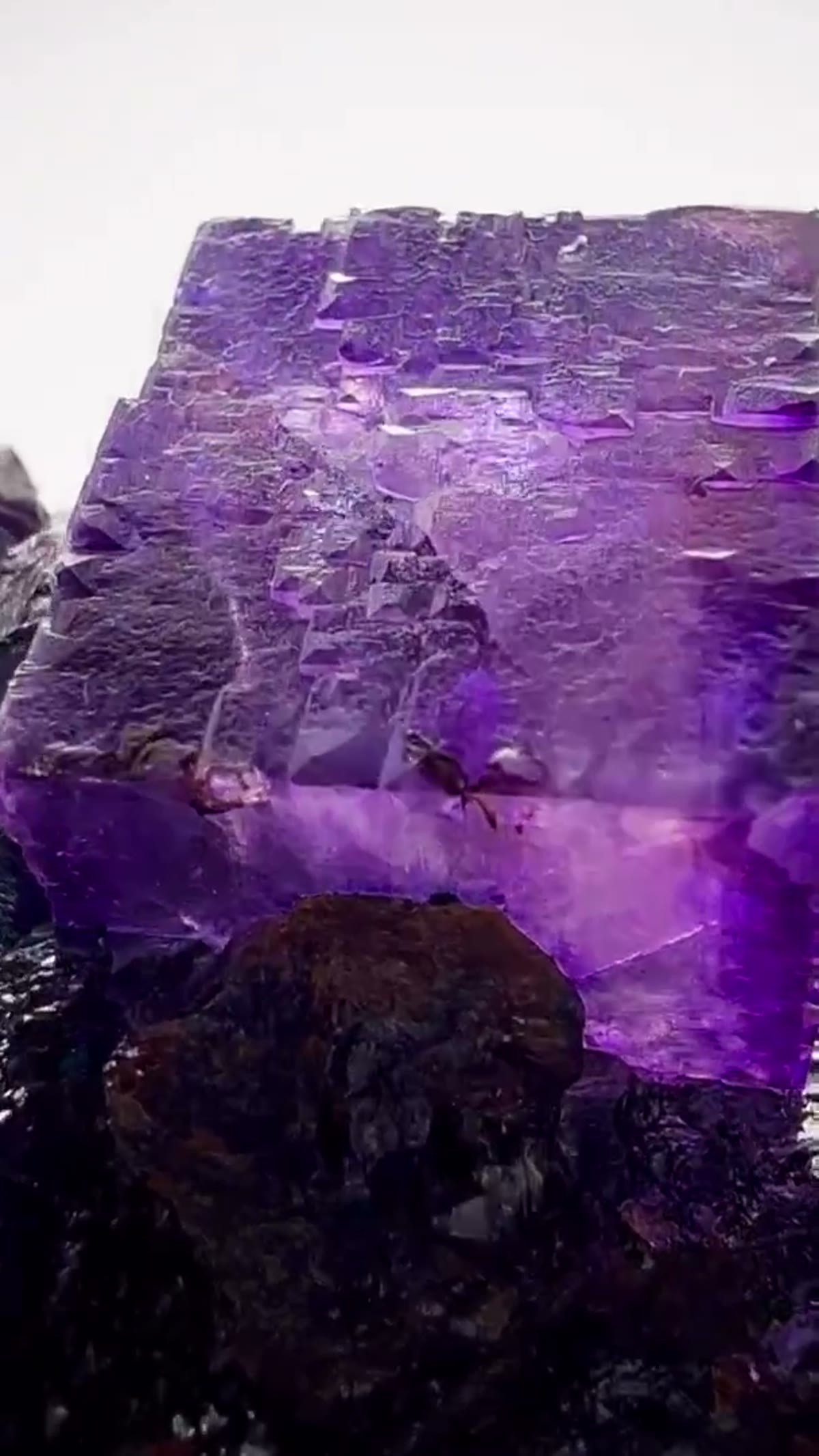 Fluorite Specimen from Elmwood Mine, Tennessee: Elmwood Perfection - view 4