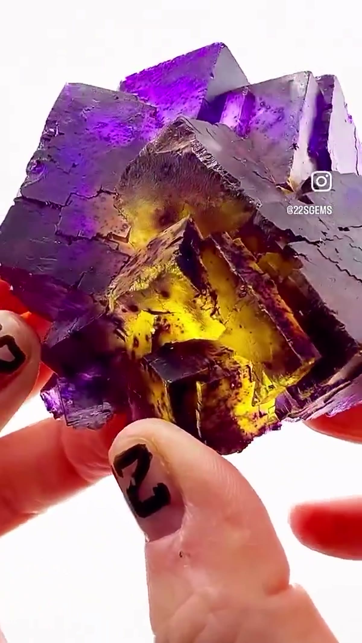 Fluorite Specimen from Denton Mine, Illinois: Denton Mine Tri-Color Insanity - view 4