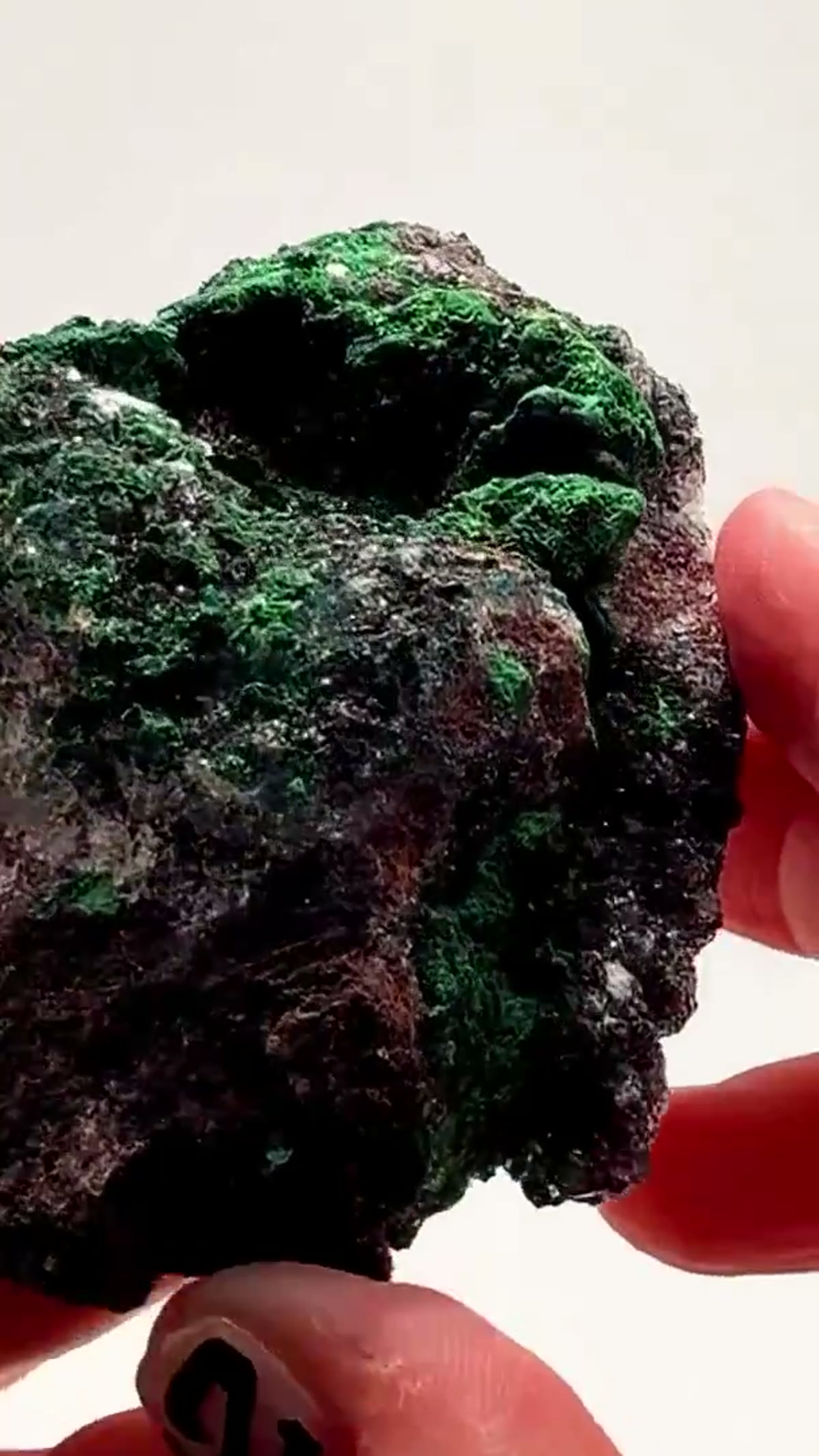 Malachite Specimen: Congo Contrast at its Finest - view 4