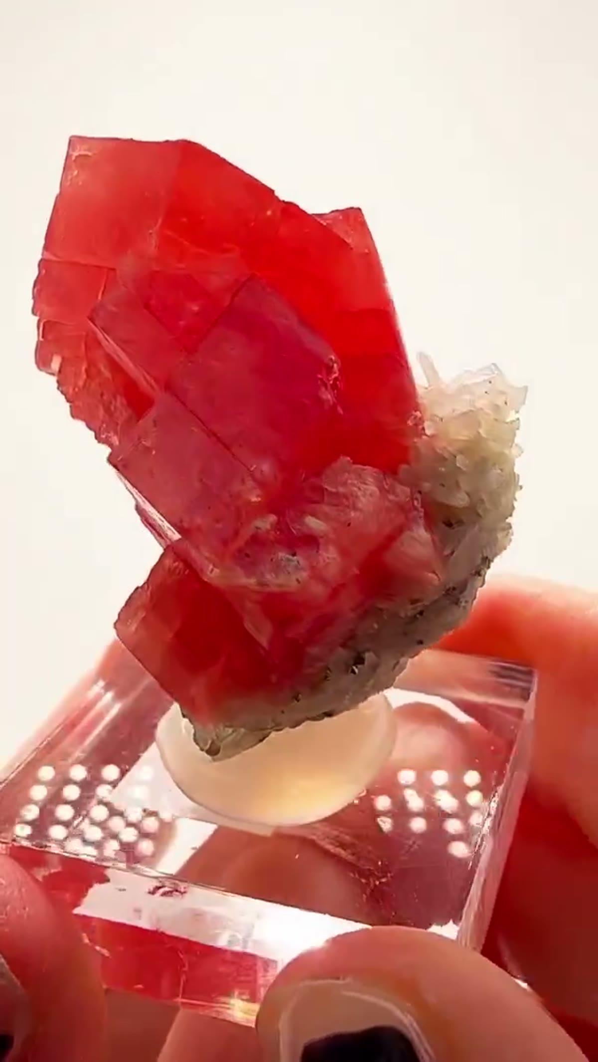 Rhodochrosite Specimen: Sweet Home Rhodo Royalty - view 2