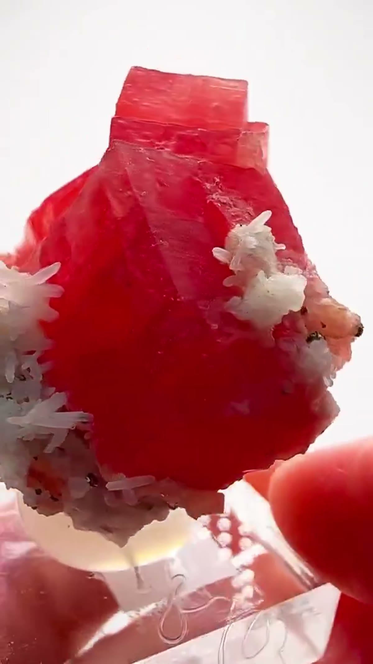 Rhodochrosite Specimen: Sweet Home Rhodo Royalty - view 3