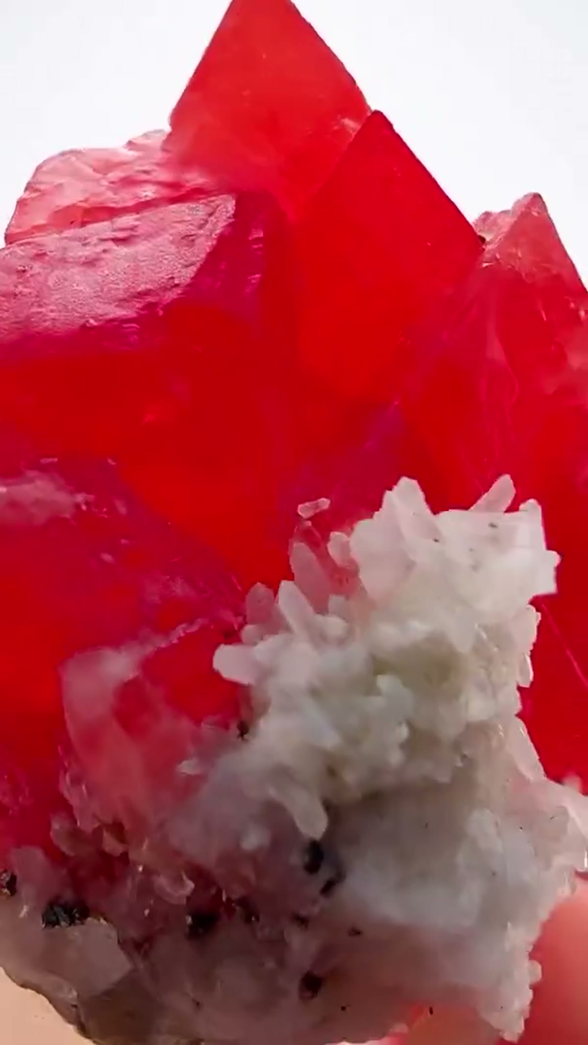 Rhodochrosite Specimen: Sweet Home Rhodo Royalty - view 4