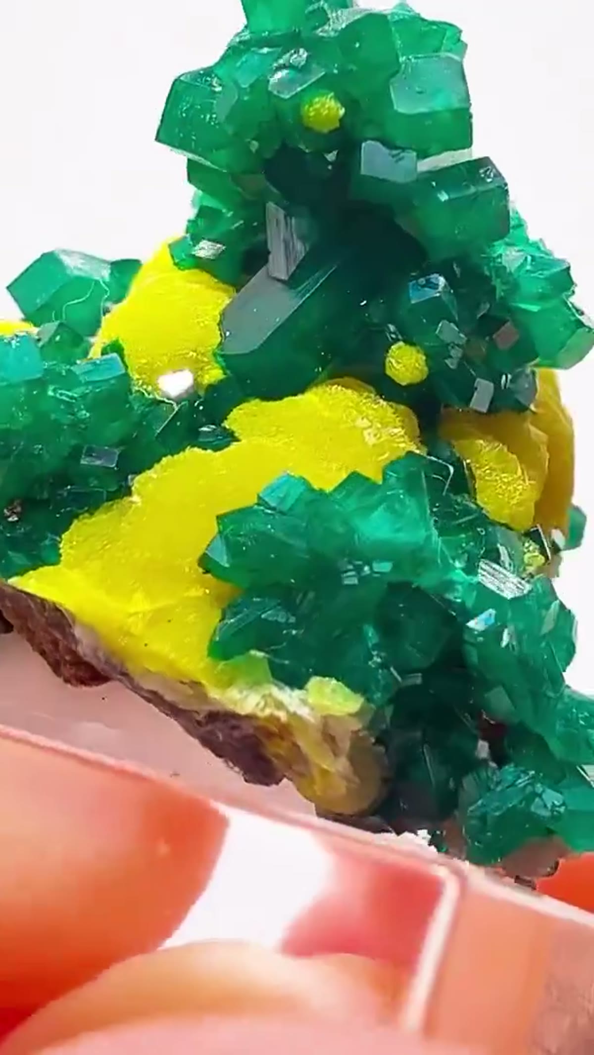 Dioptase Specimen: Green & Gold Congo Magic - view 2