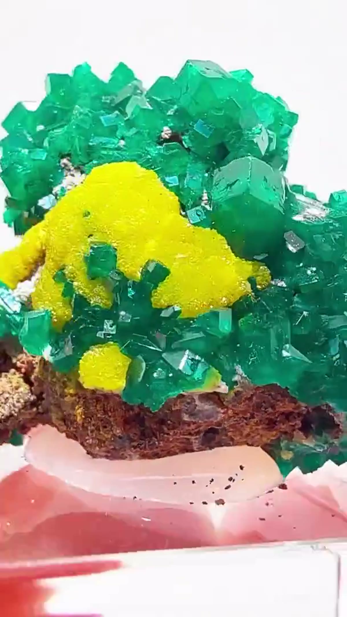 Dioptase Specimen: Green & Gold Congo Magic - view 3