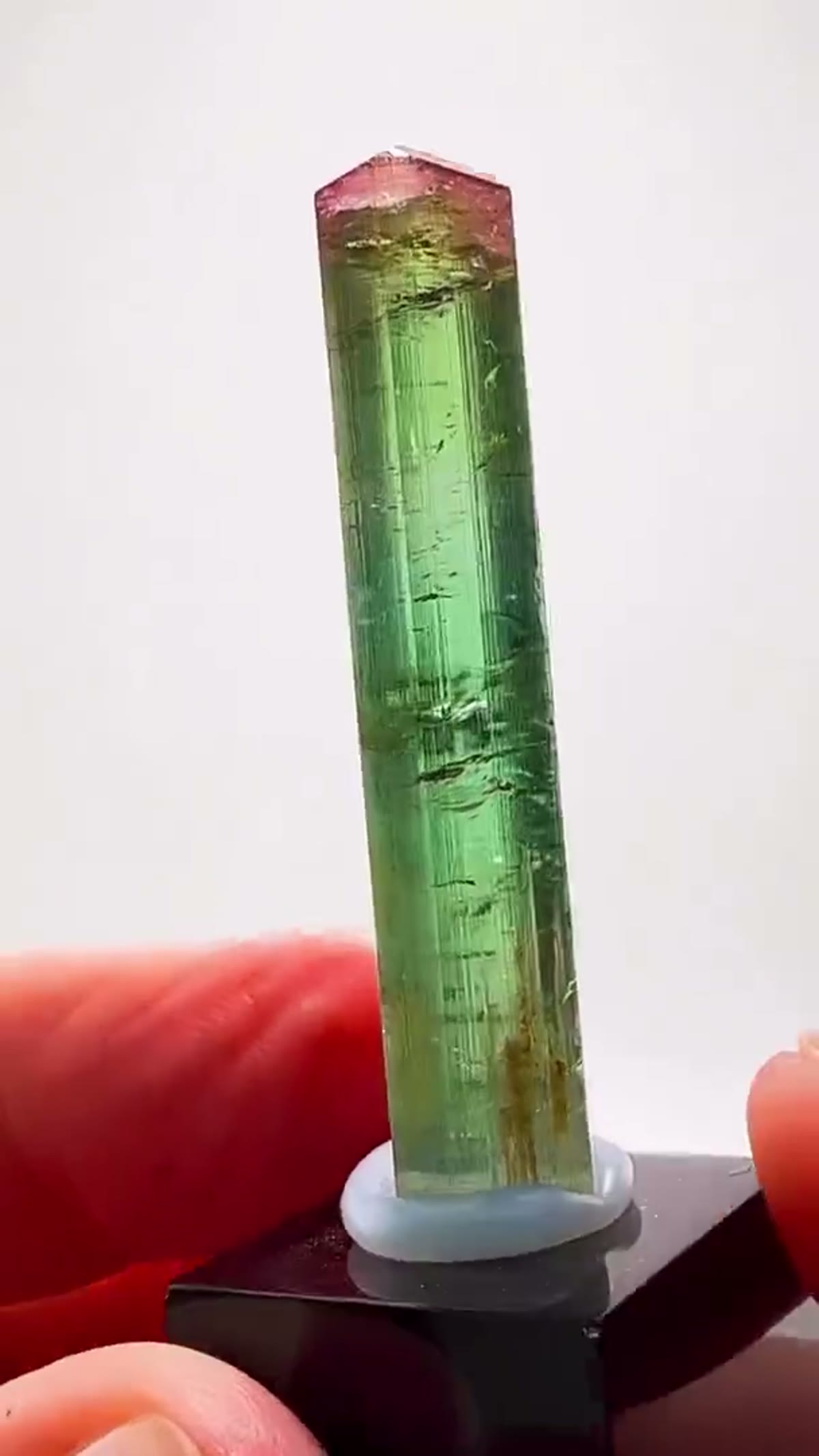 Elbaite Tourmaline Specimen from Aricanga Mine, Brazil: Tricolor Tourmaline Magic - view 2