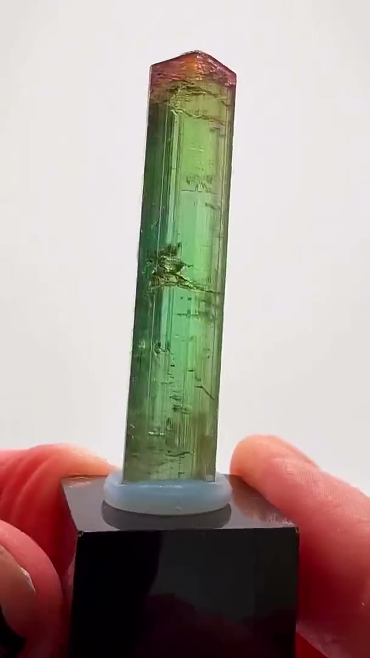 Elbaite Tourmaline Specimen from Aricanga Mine, Brazil: Tricolor Tourmaline Magic - view 3