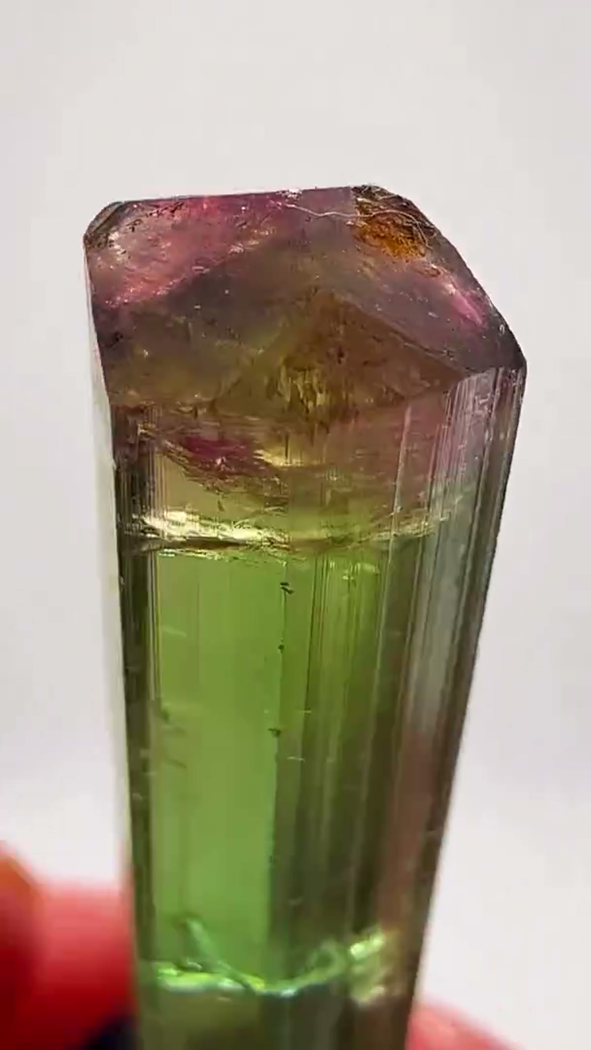 Elbaite Tourmaline Specimen from Aricanga Mine, Brazil: Tricolor Tourmaline Magic - view 4
