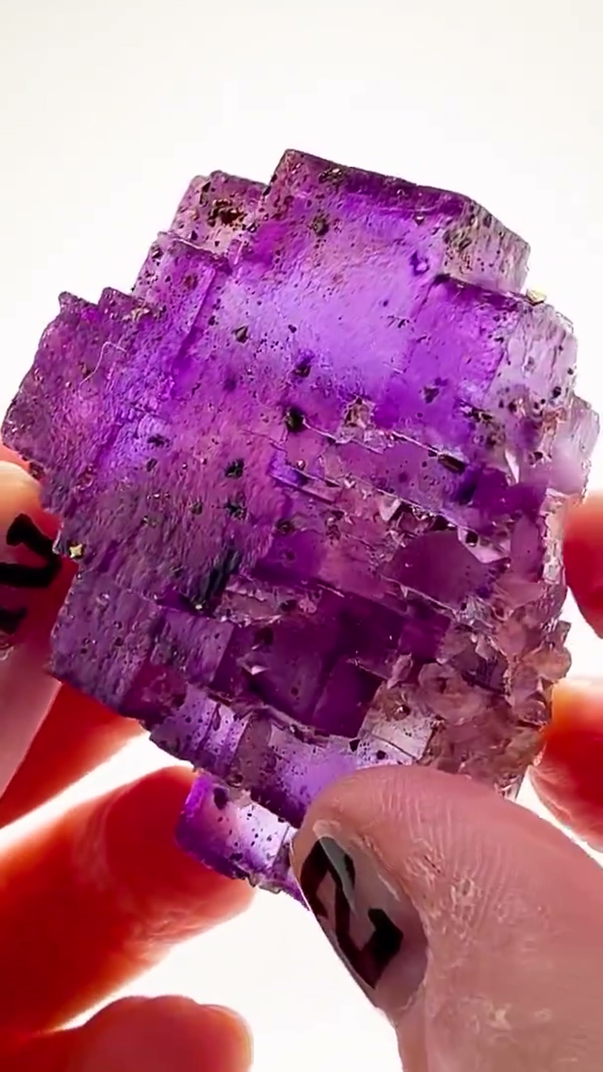 Fluorite Specimen from Denton Mine, Illinois: Tri-Color Denton Mine Magic - view 3
