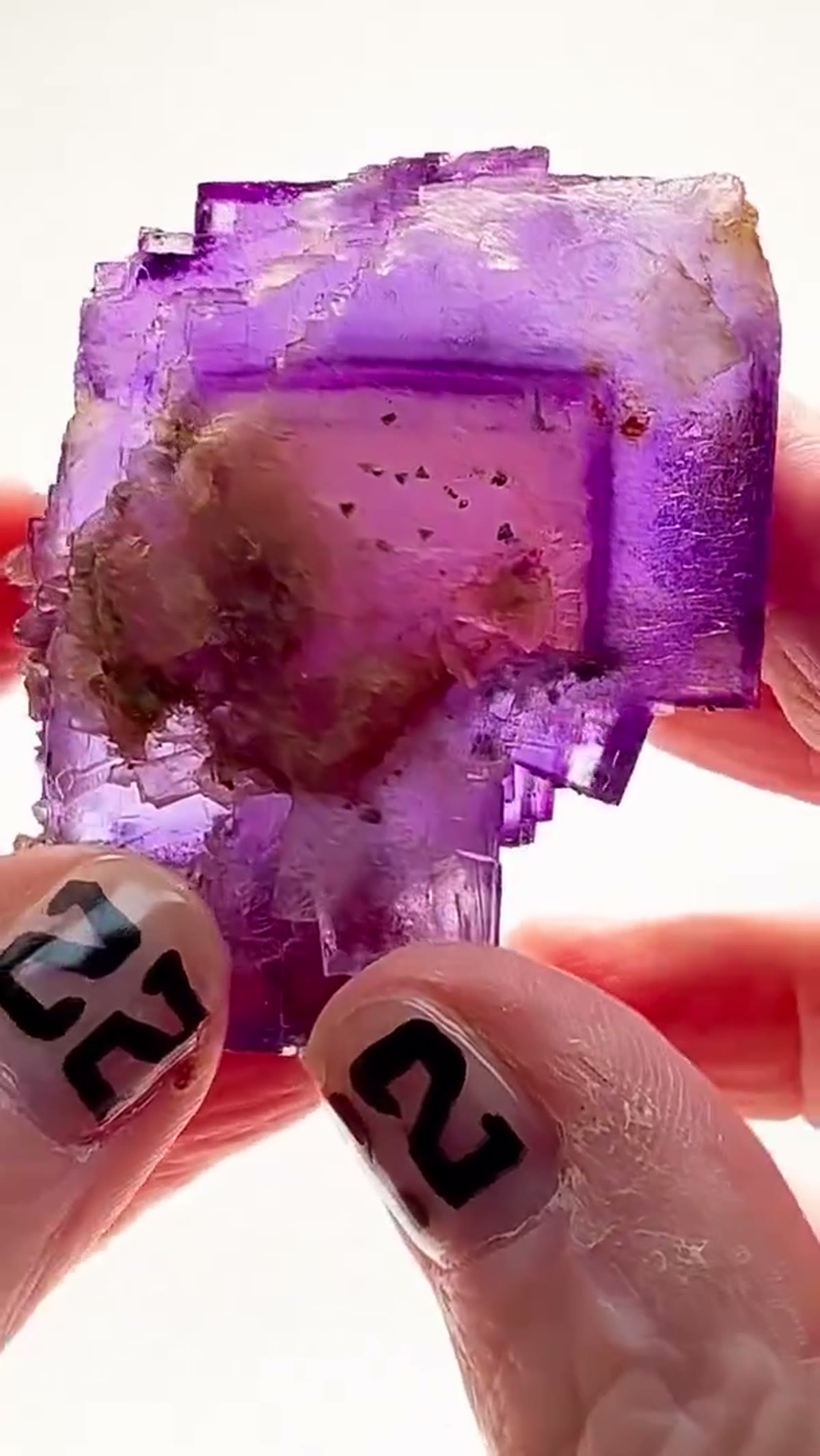 Fluorite Specimen from Denton Mine, Illinois: Tri-Color Denton Mine Magic - view 4