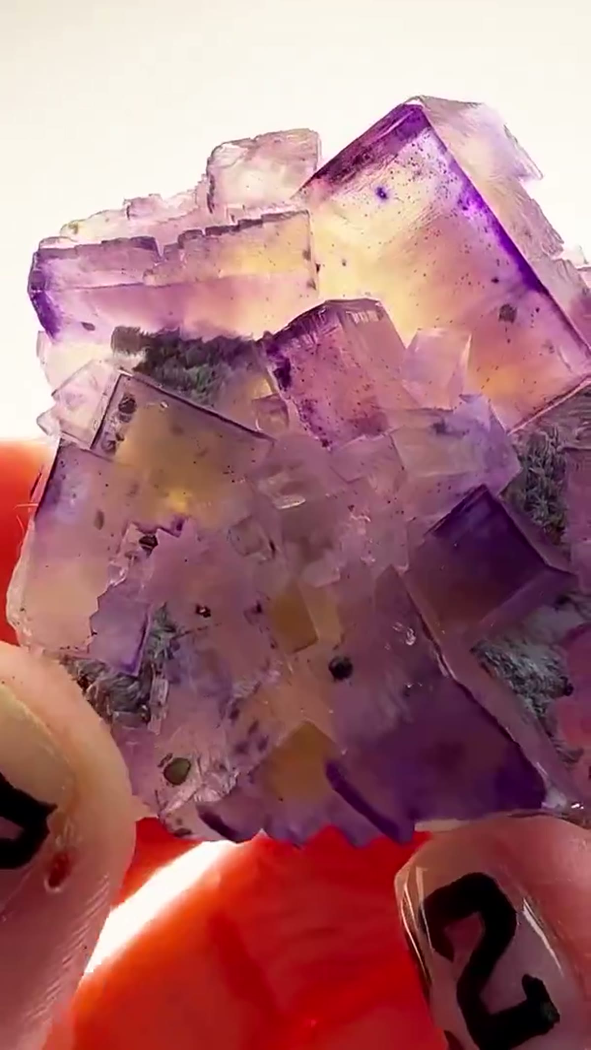 Fluorite Specimen from Denton Mine, Illinois: Denton Mine Zoning on Full Display - view 2