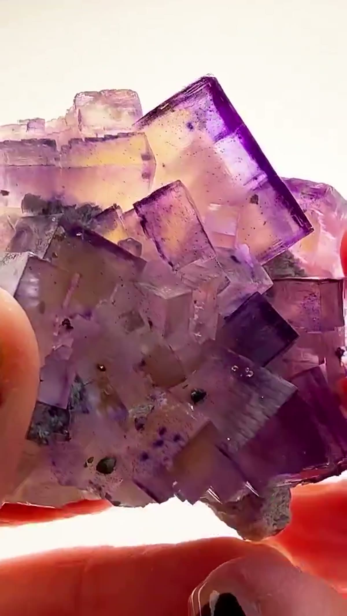 Fluorite Specimen from Denton Mine, Illinois: Denton Mine Zoning on Full Display - view 3