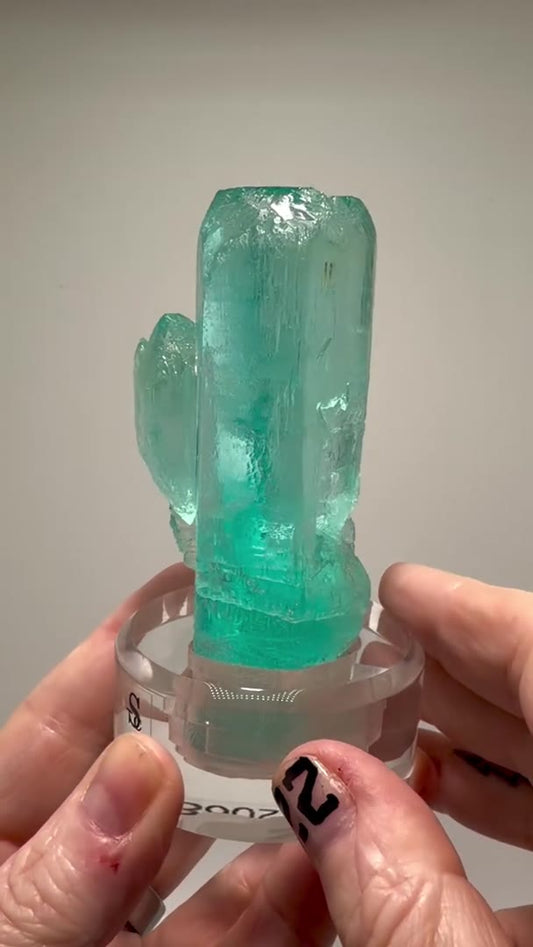 205.4 GRAMS OF MEDINA BLUE — NEXT LEVEL MAGIC