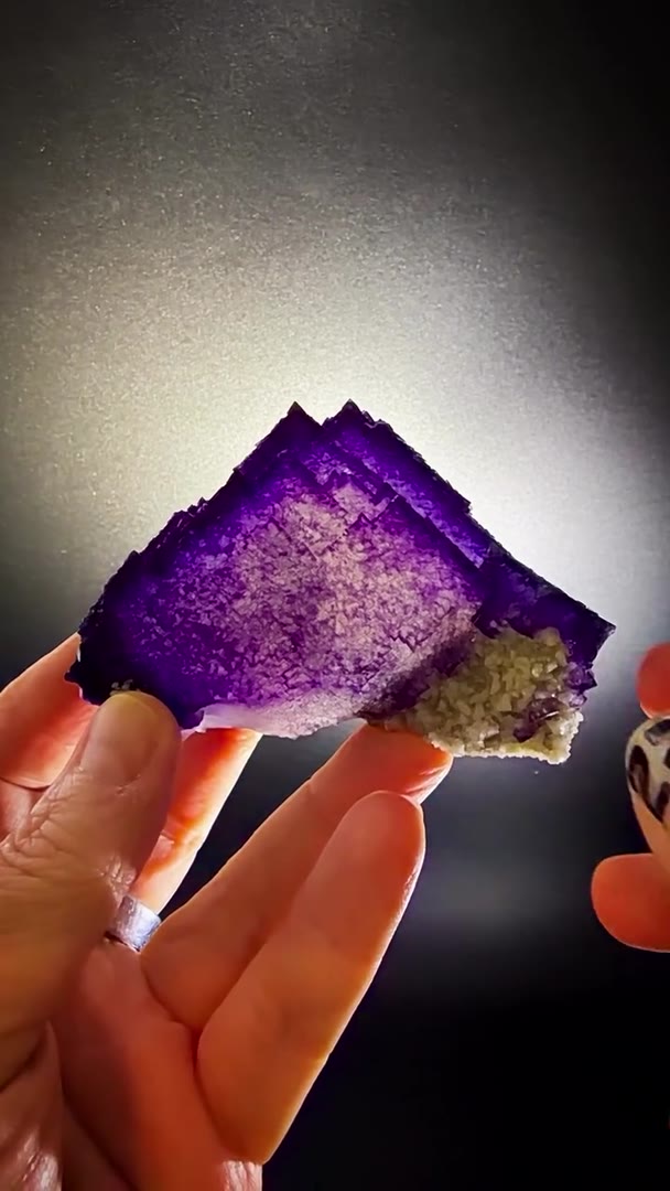 OLD-SCHOOL ELMWOOD PURPLE