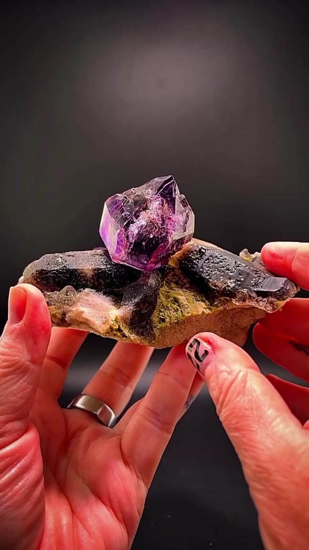 LITTLE GEM MINE MEATLOAF POCKET ROYALTY
