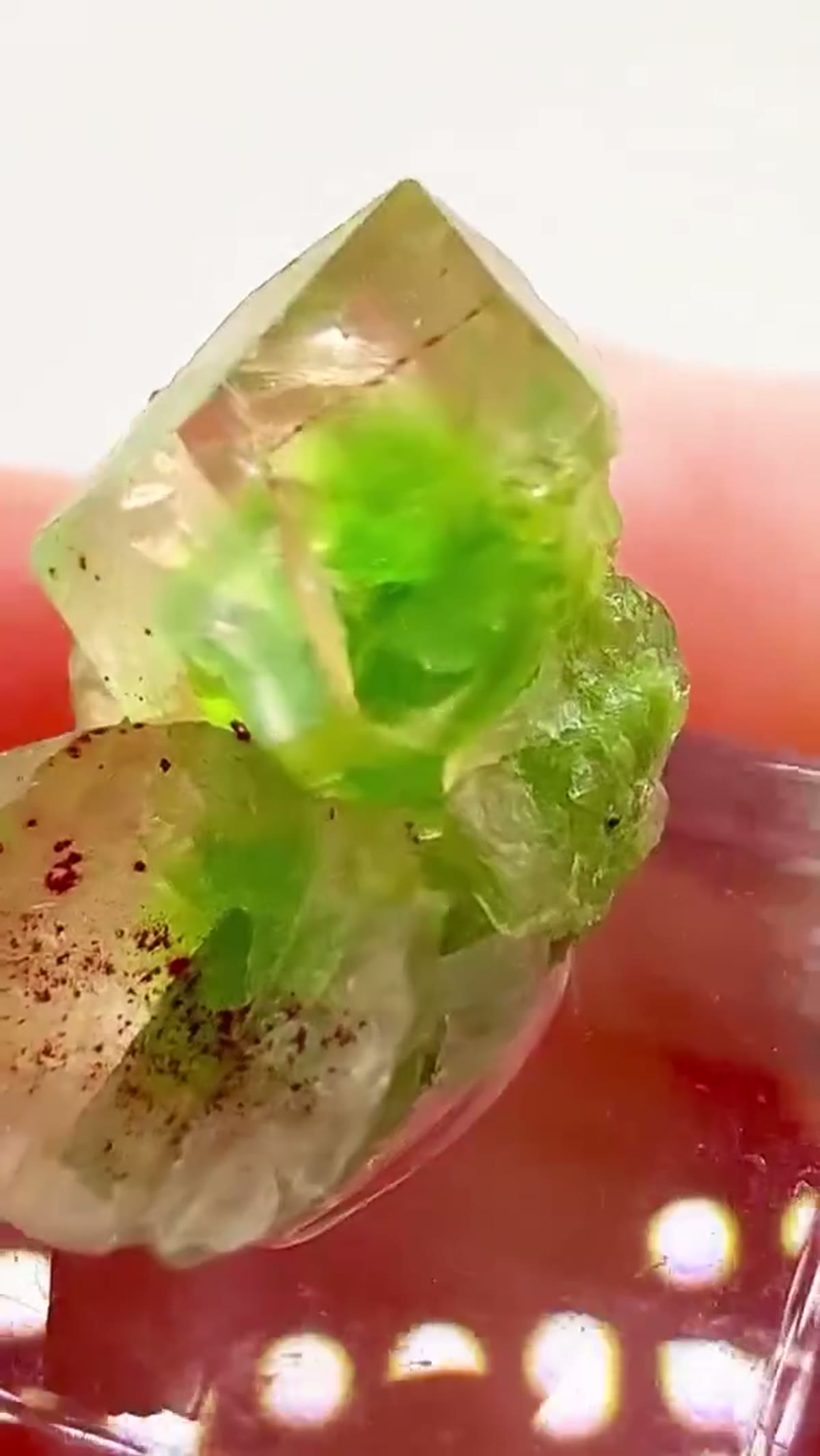Garnet Specimen: Frog Eggs… Quebec Style - view 3