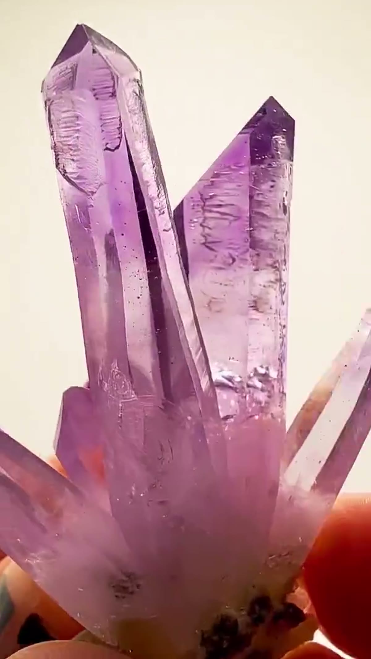Amethyst Specimen from Mexico: Veracruz Purple Perfection - view 2
