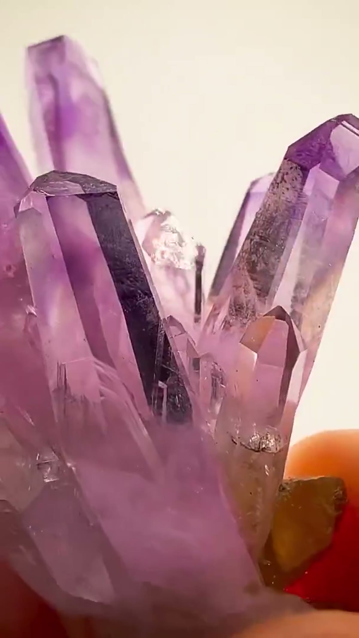 Amethyst Specimen from Mexico: Veracruz Purple Perfection - view 3