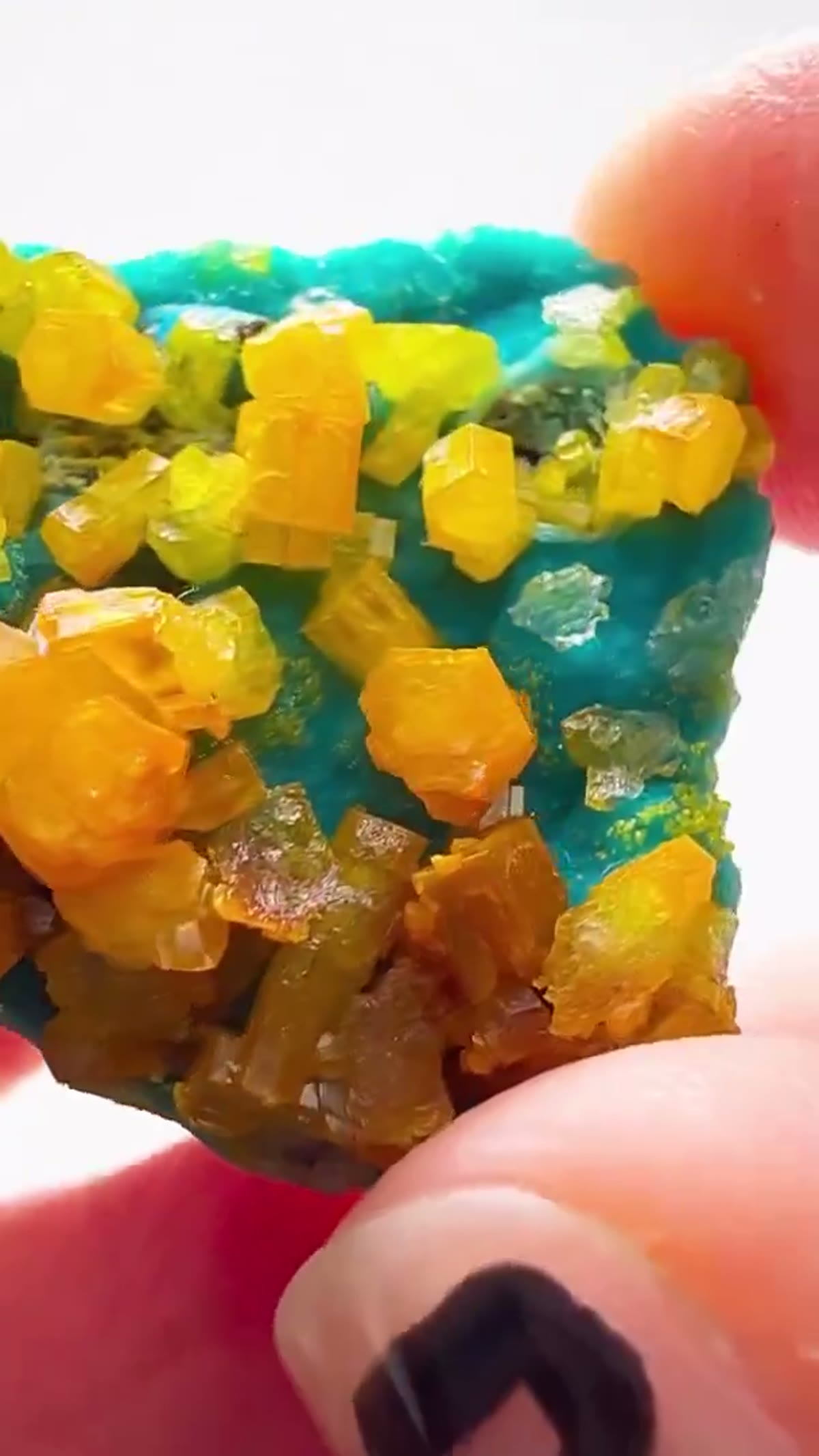 Mineral Specimen: An Absolute Congo Treasure — What a Find - view 2