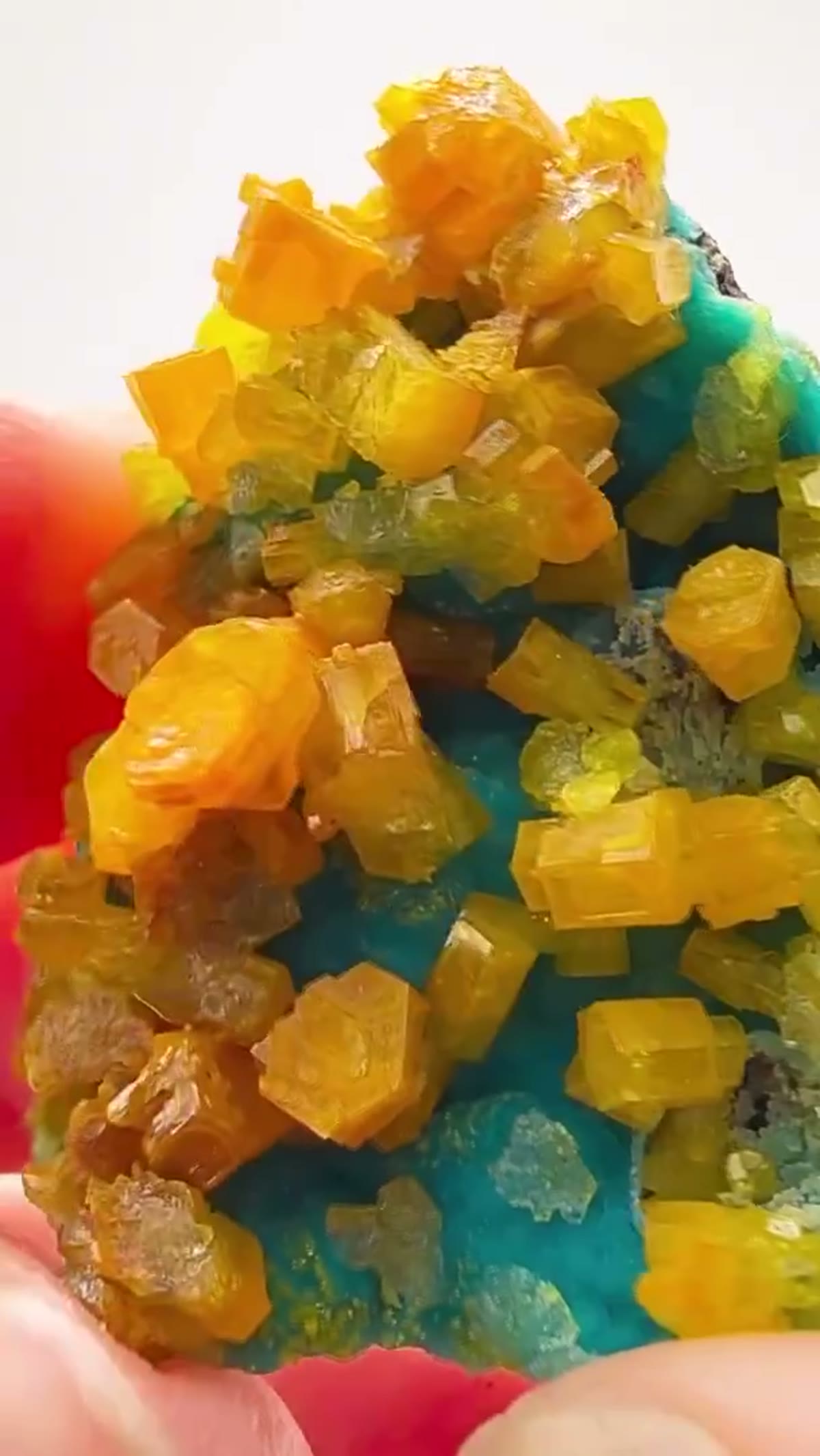 Mineral Specimen: An Absolute Congo Treasure — What a Find - view 3