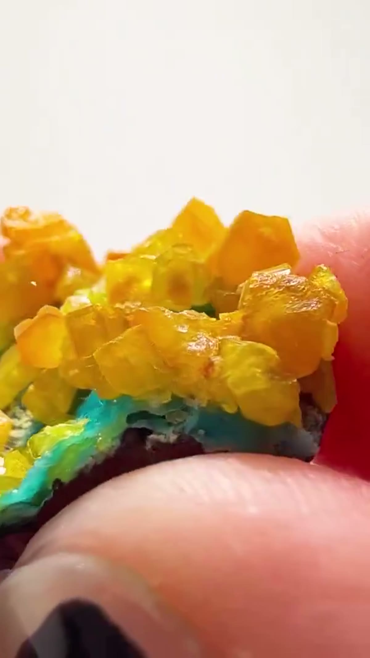 Mineral Specimen: An Absolute Congo Treasure — What a Find - view 4