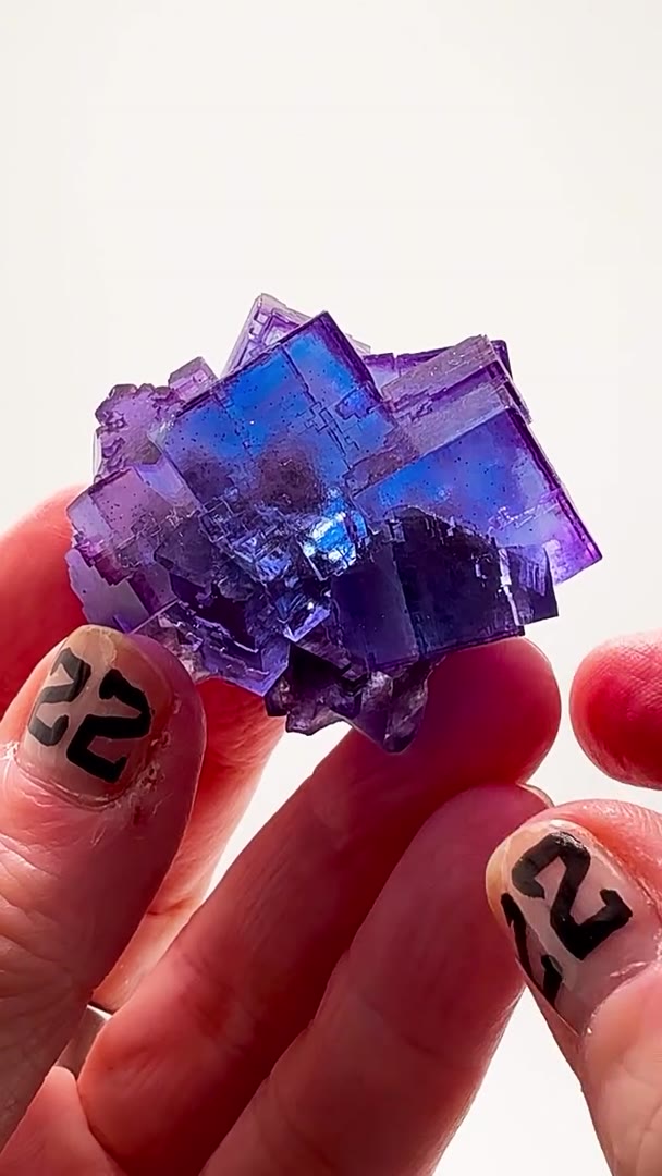 ANNABEL LEE BLUE & PURPLE BANGER