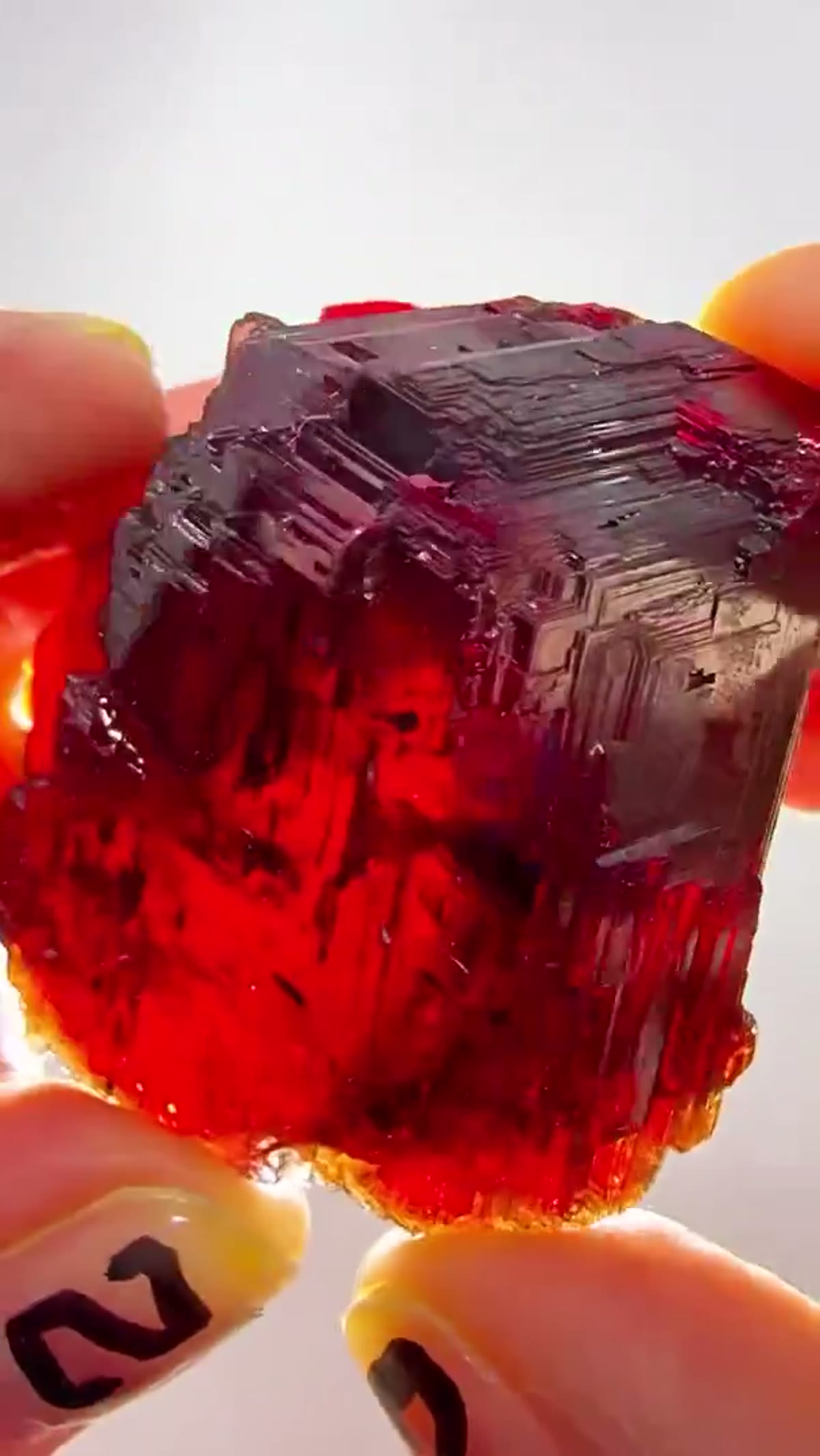 Garnet Specimen from Minas Gerais, Brazil, 120.56 g - view 2