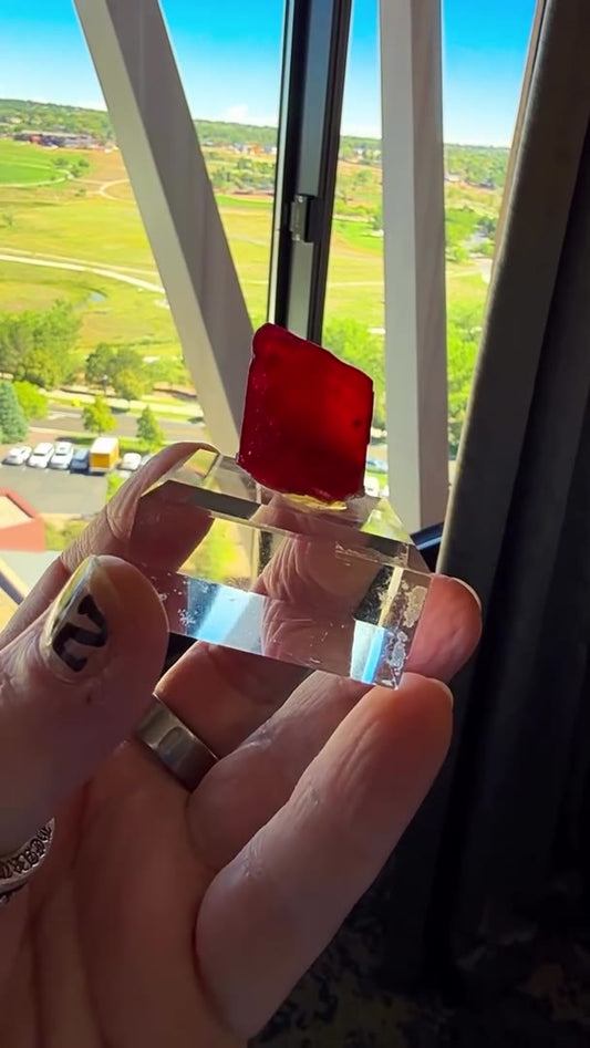 NEW ADDITION… ABSOLUTE CHERRY BOMB