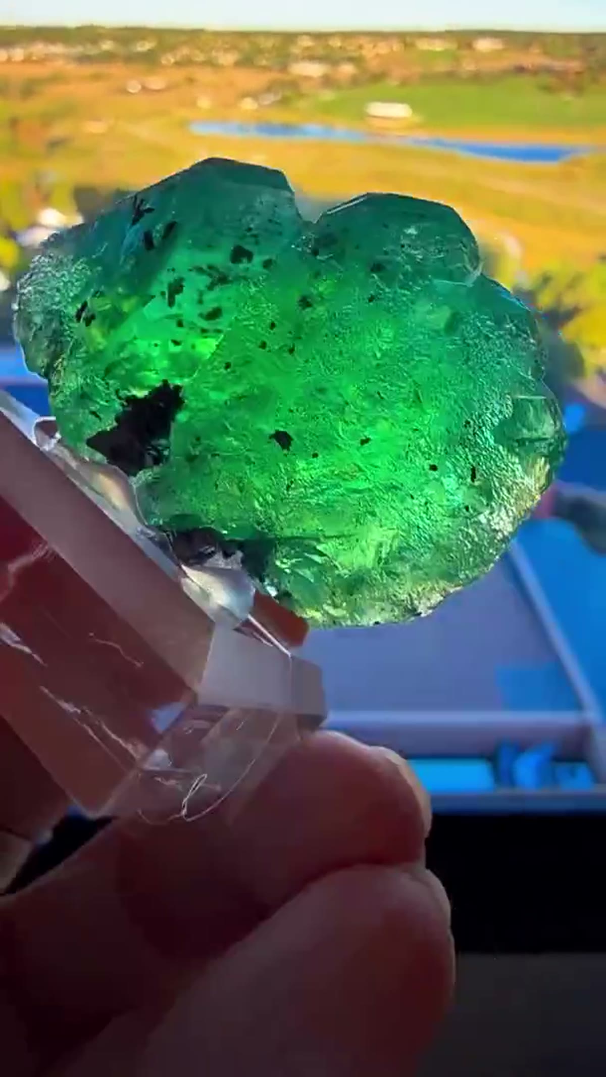 Fluorite Specimen: Electric Green - view 2