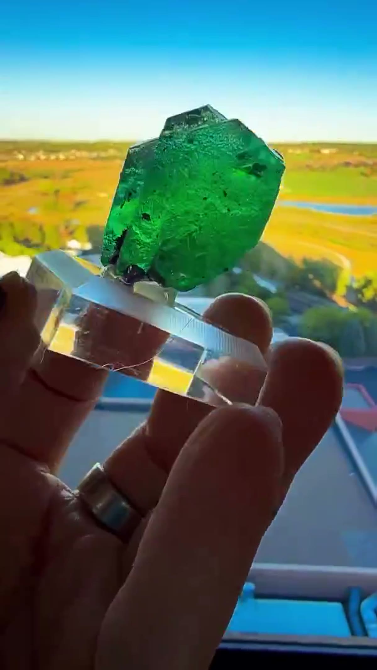 Fluorite Specimen: Electric Green - view 4