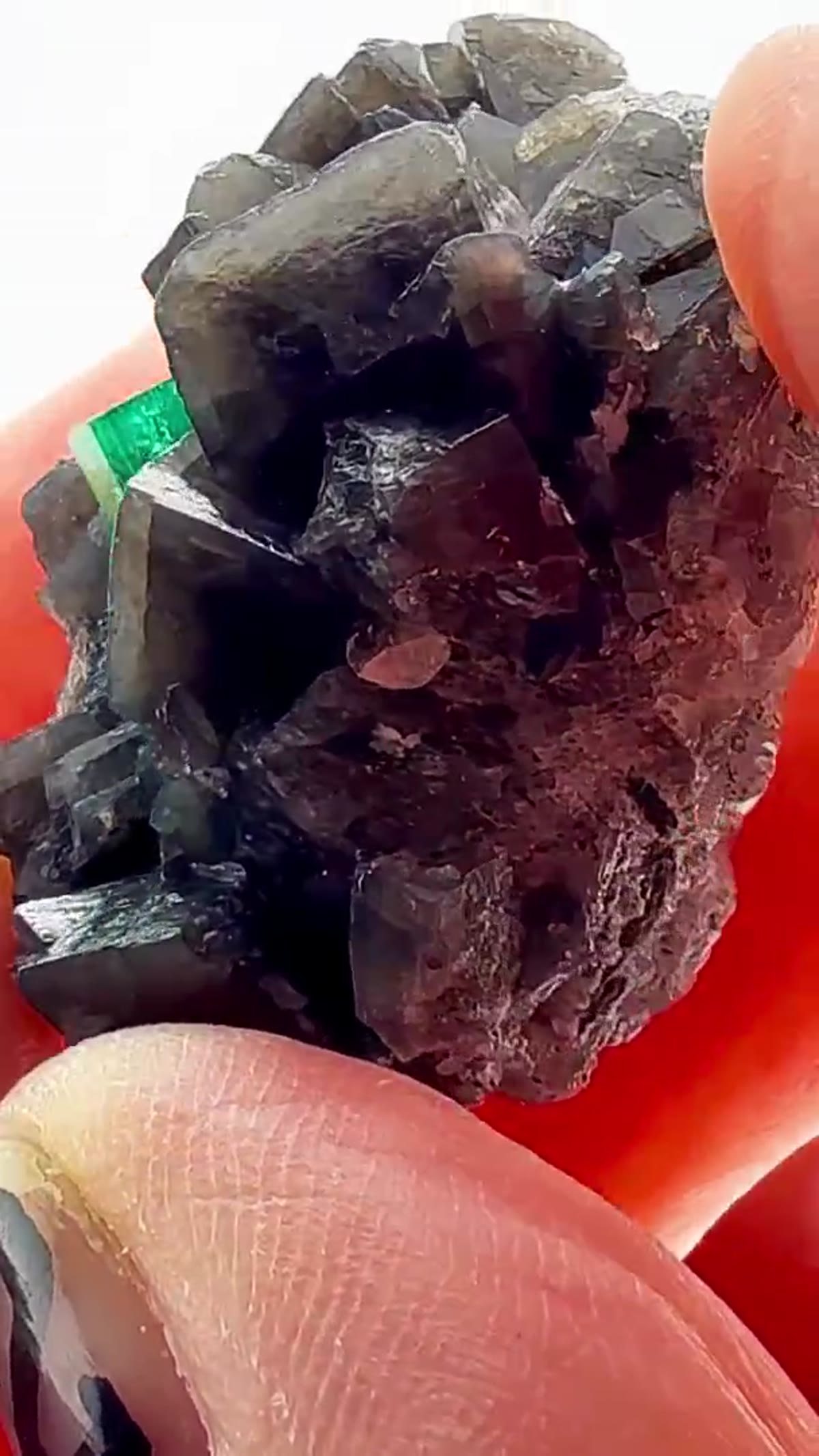 Emerald Specimen, 116.30 ct - view 4