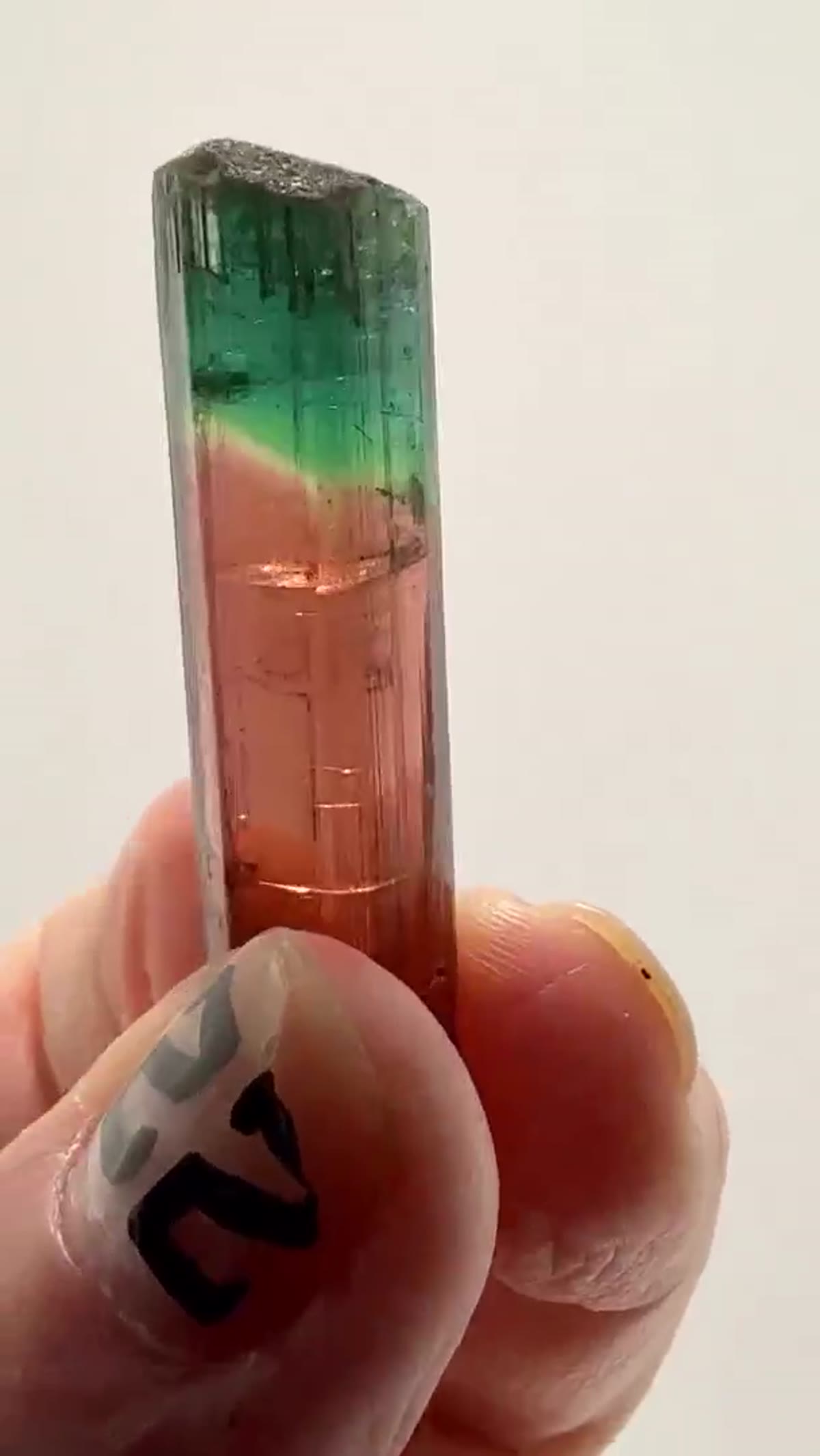 Elbaite Tourmaline Specimen from Minas Gerais, Brazil, 7.87 g - view 2