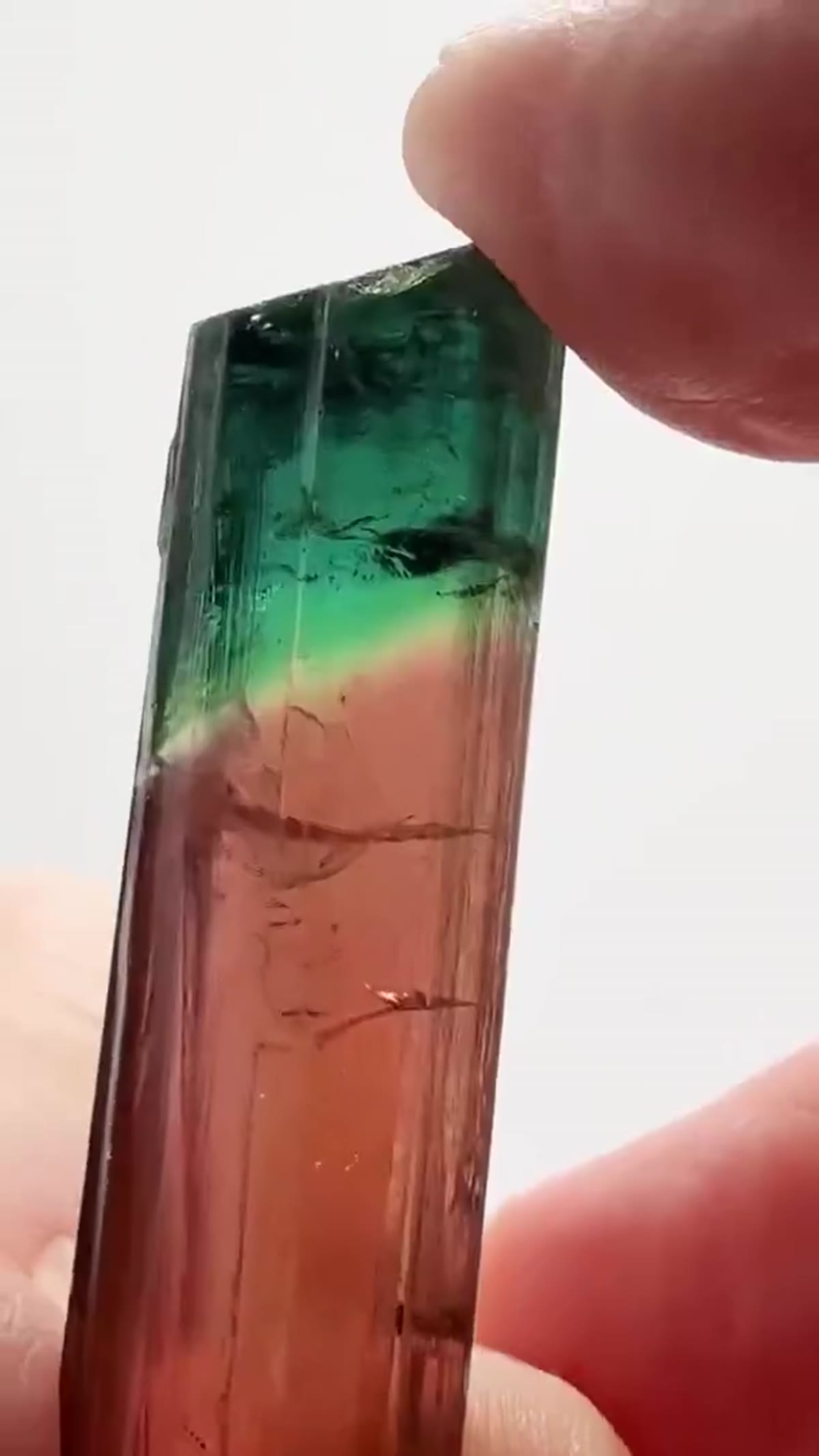 Elbaite Tourmaline Specimen from Minas Gerais, Brazil, 7.87 g - view 3