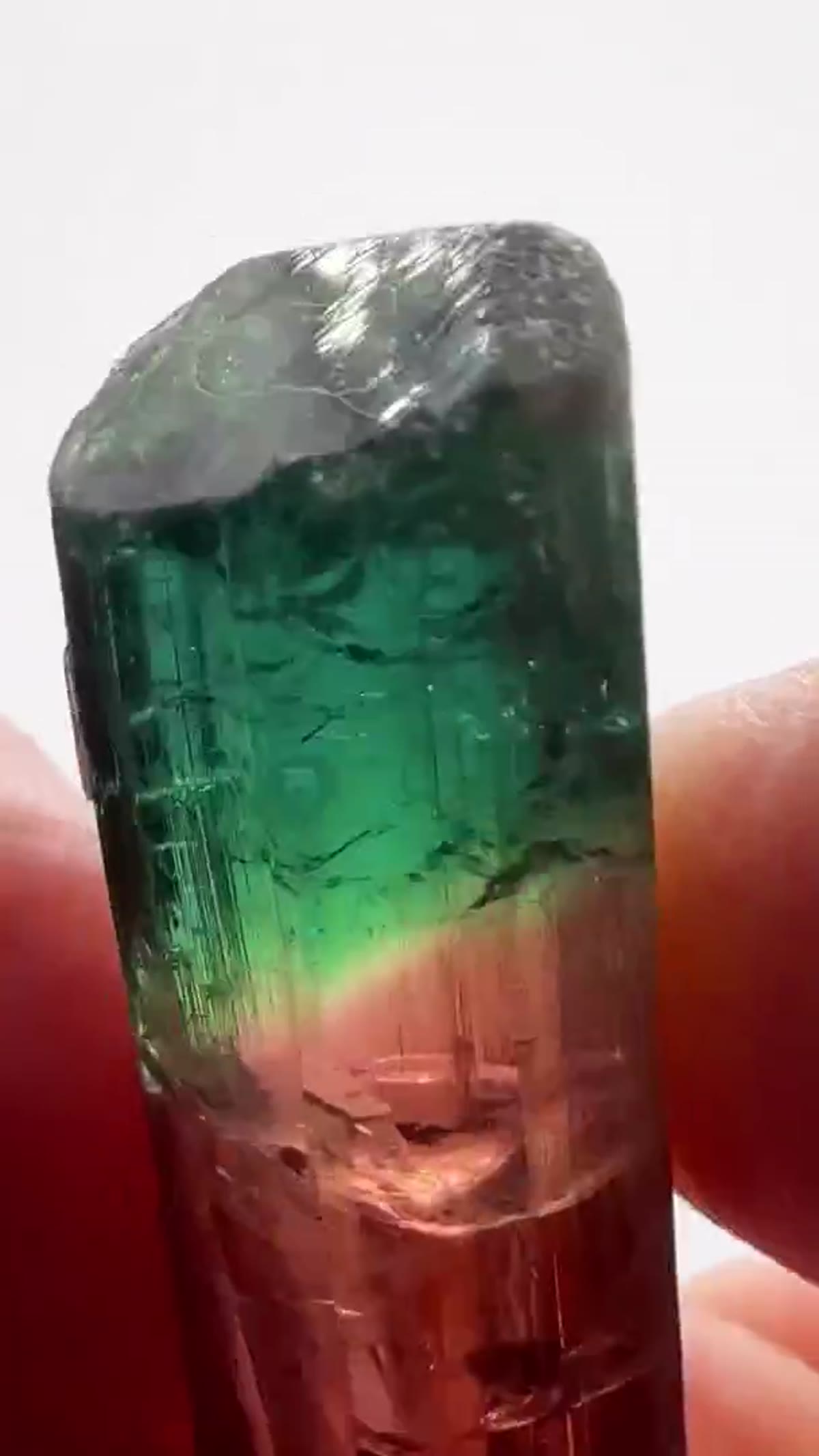 Elbaite Tourmaline Specimen from Minas Gerais, Brazil, 7.87 g - view 4